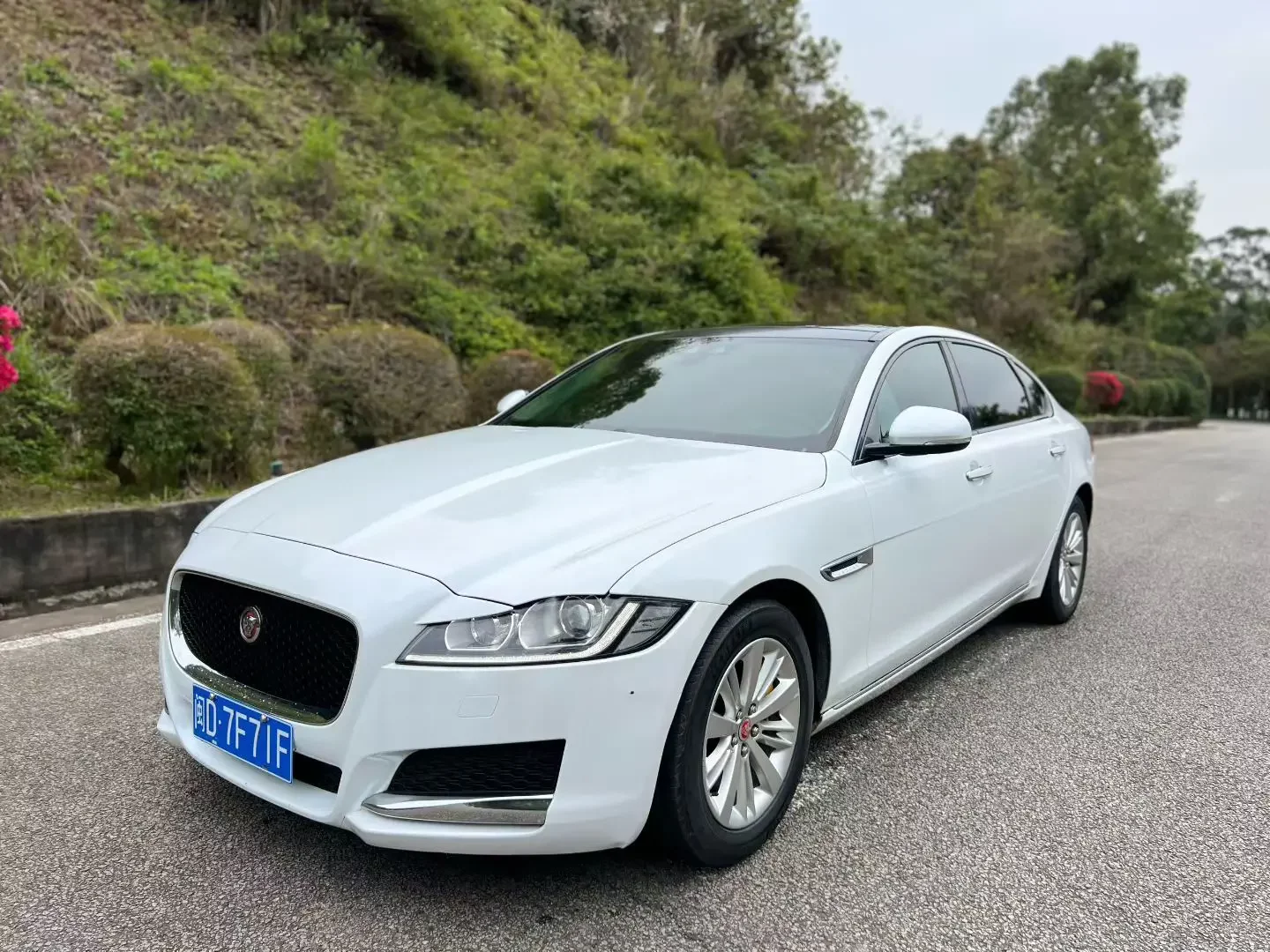 Jaguar XFL