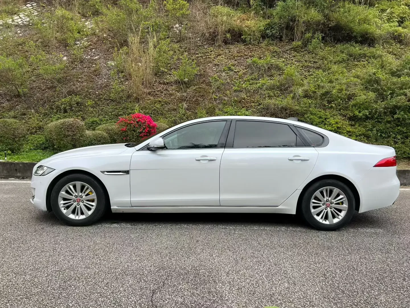Jaguar XFL