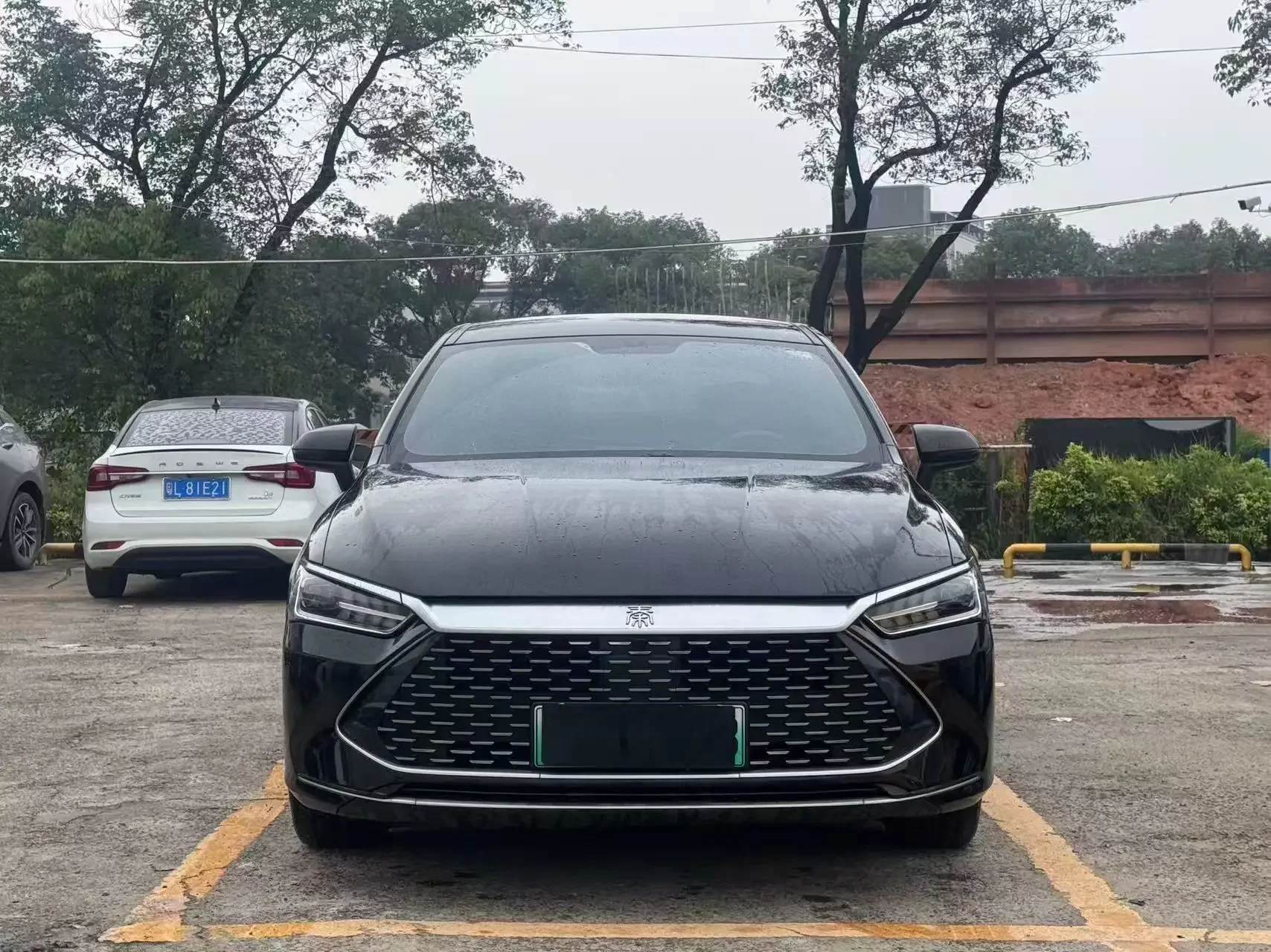 BYD Qin PLUS DM