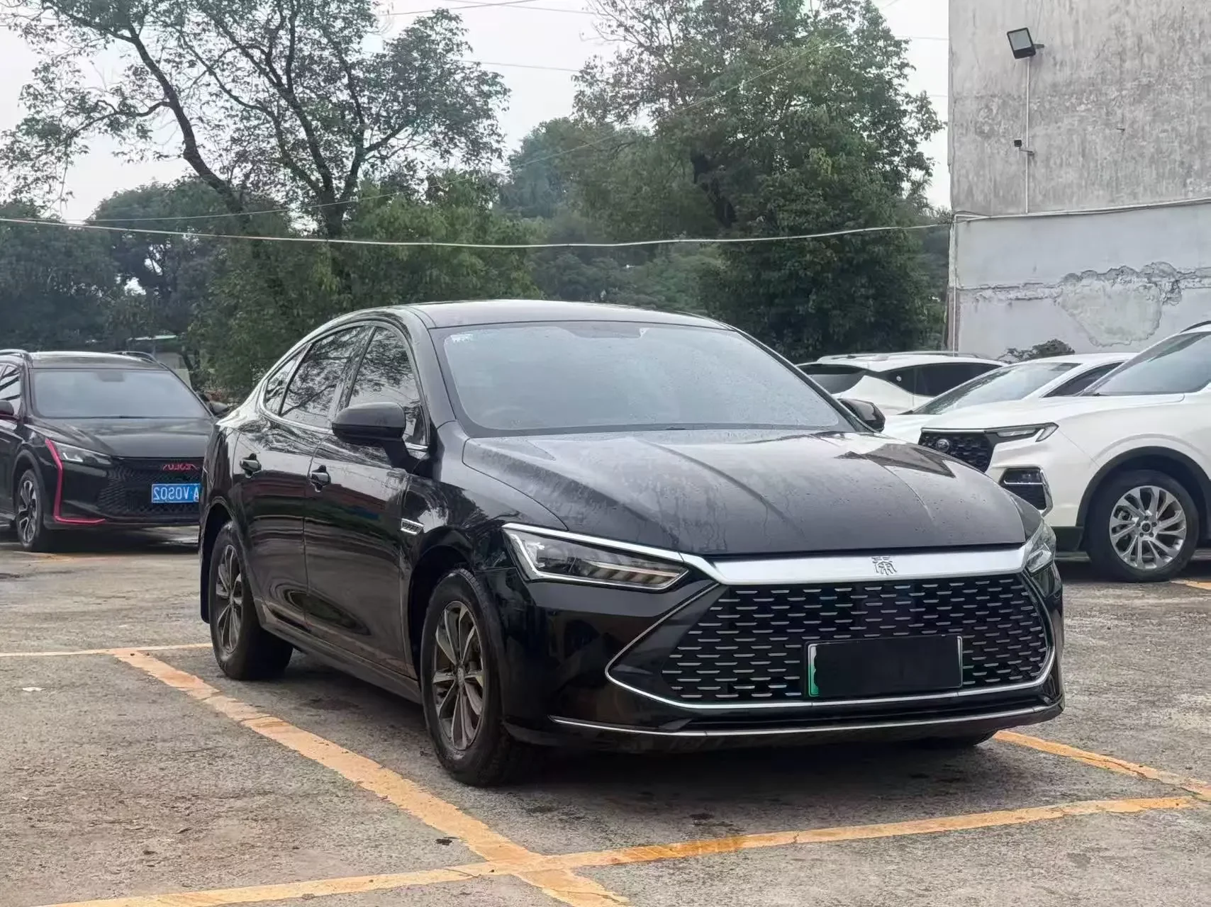 BYD Qin PLUS DM
