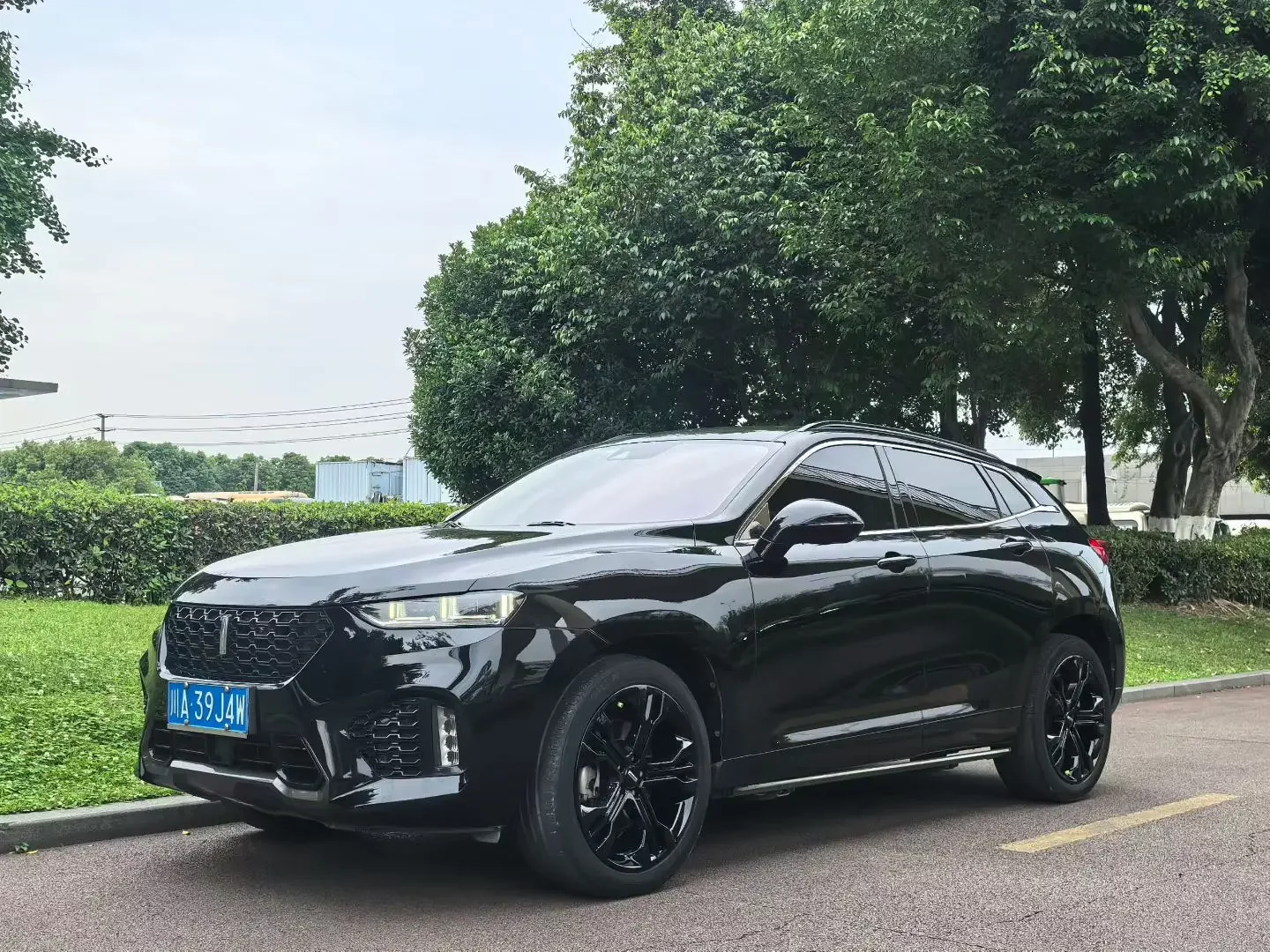 Wey Wei brand VV7