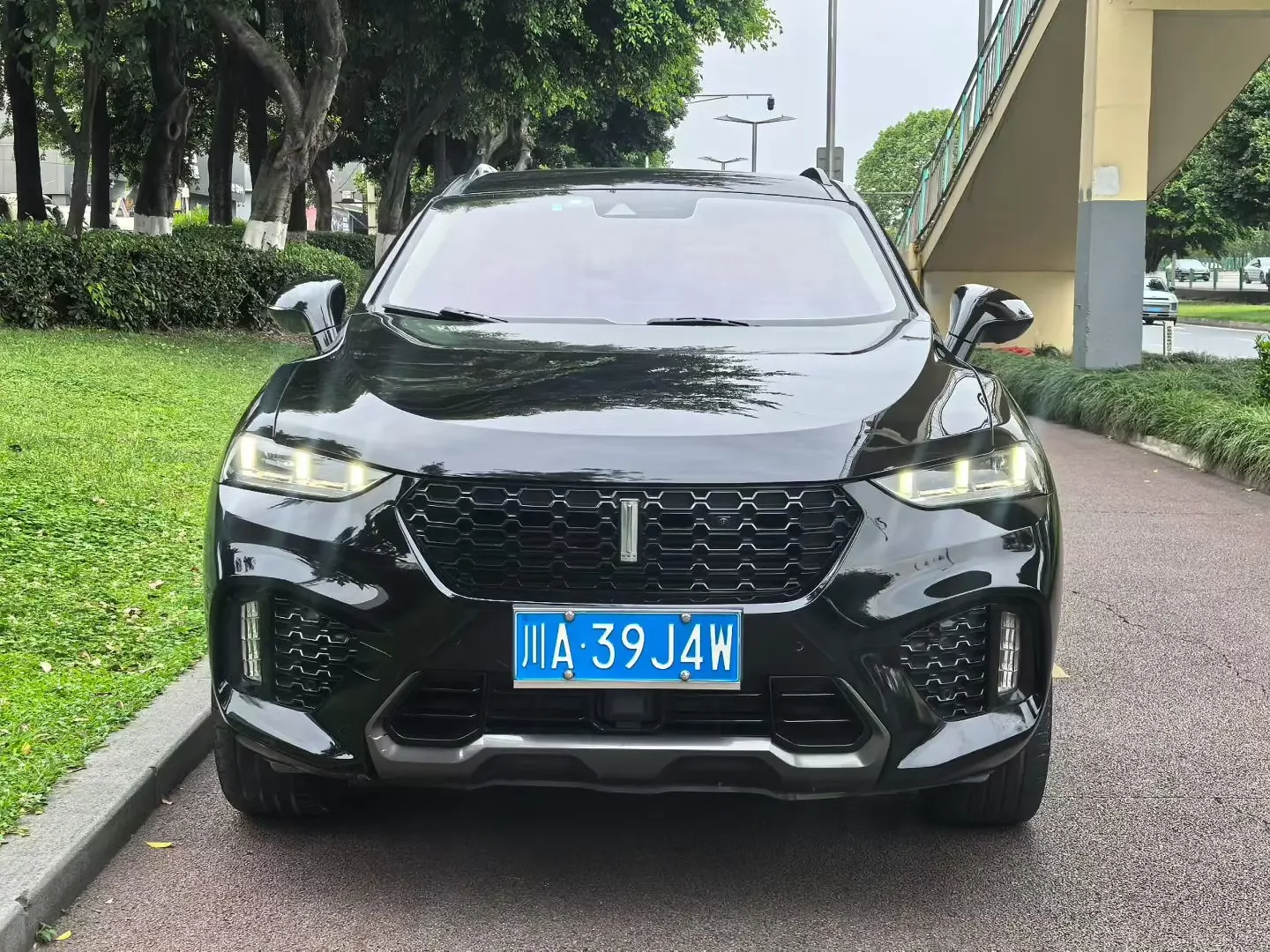 Wey Wei brand VV7