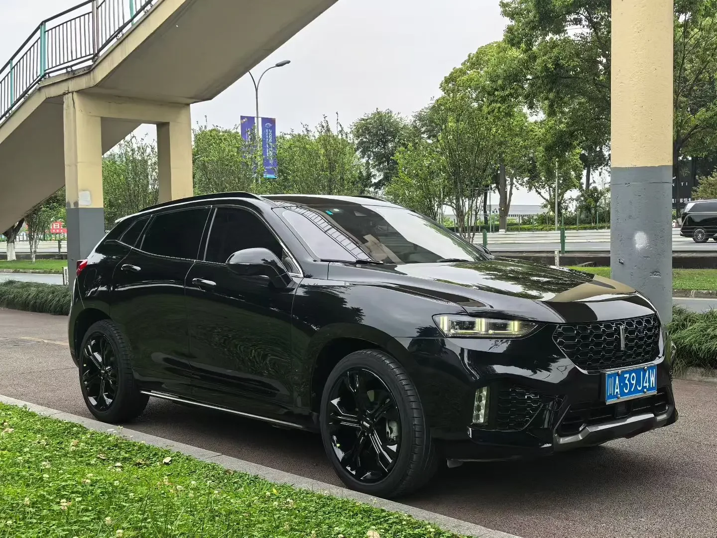 Wey Wei brand VV7