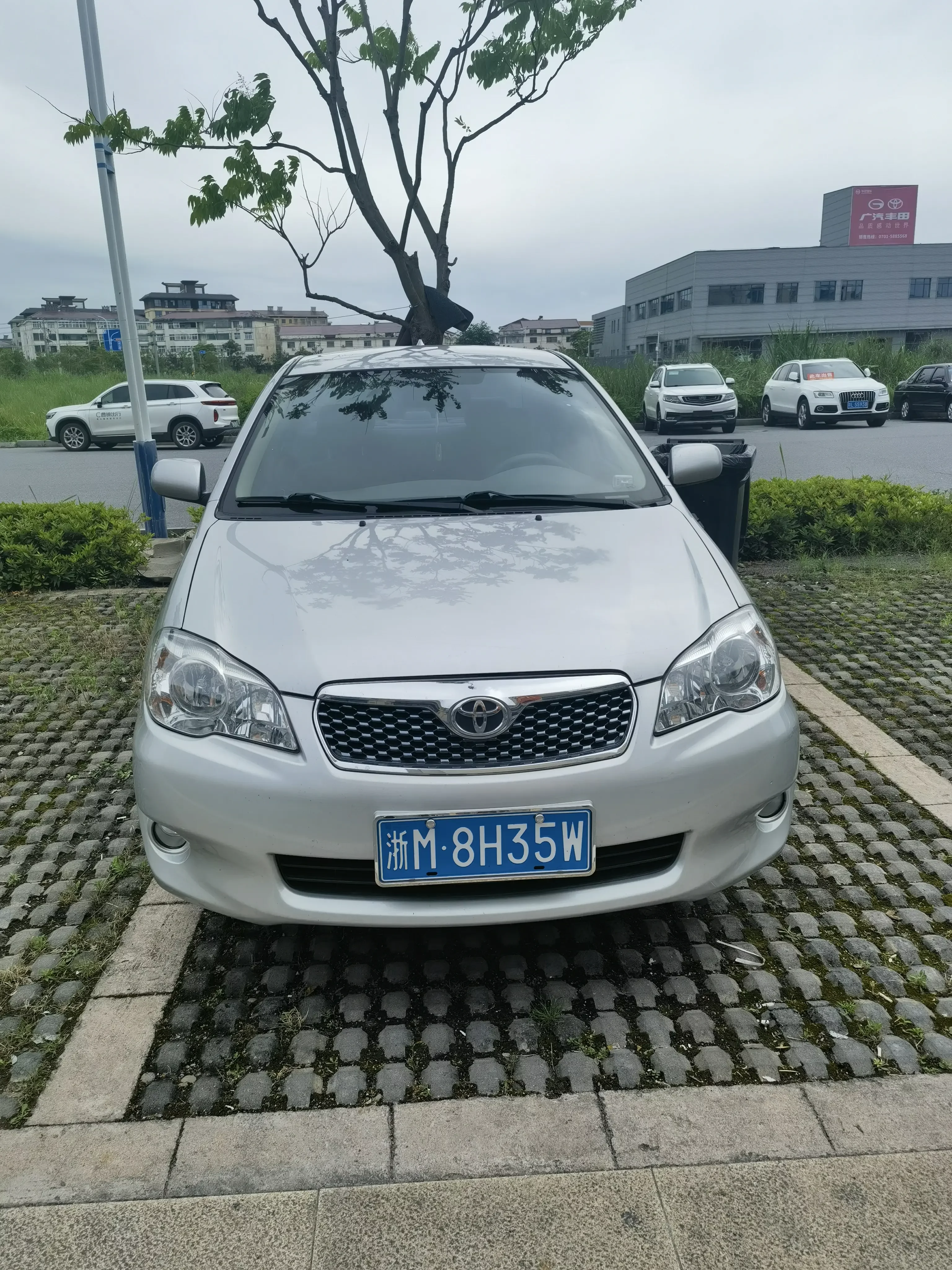 Toyota corolla