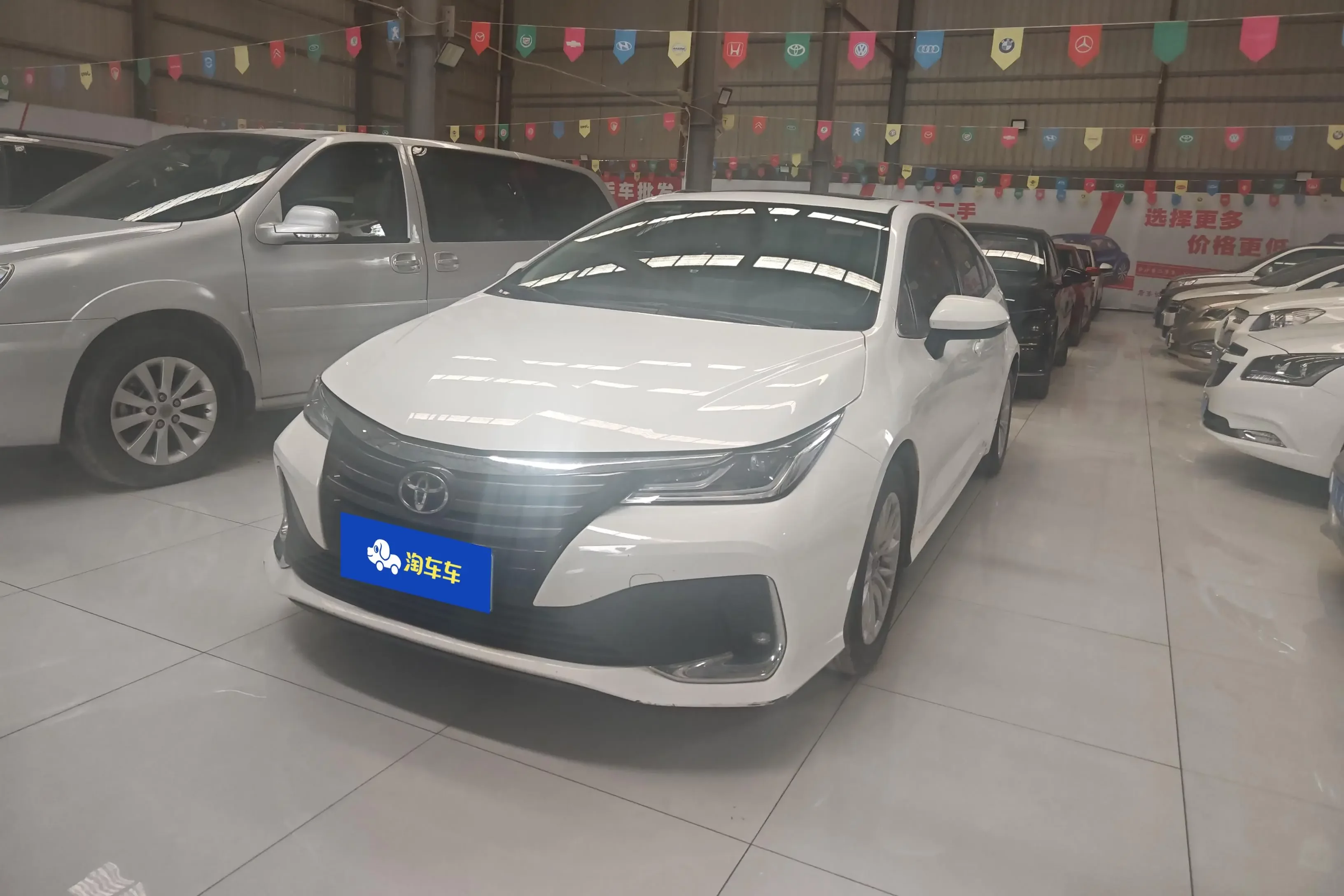 Toyota Asiatic lion