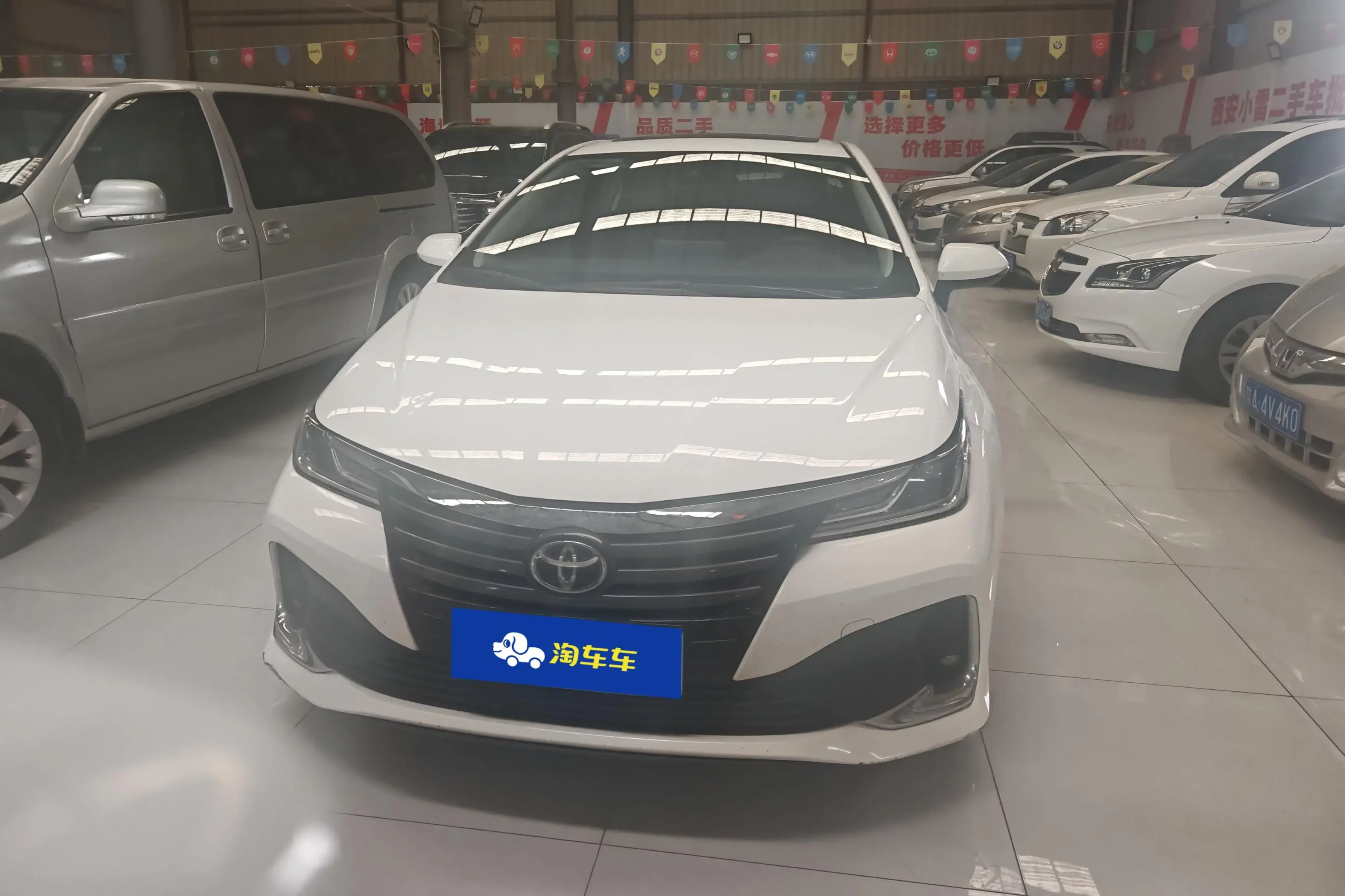 Toyota Asiatic lion