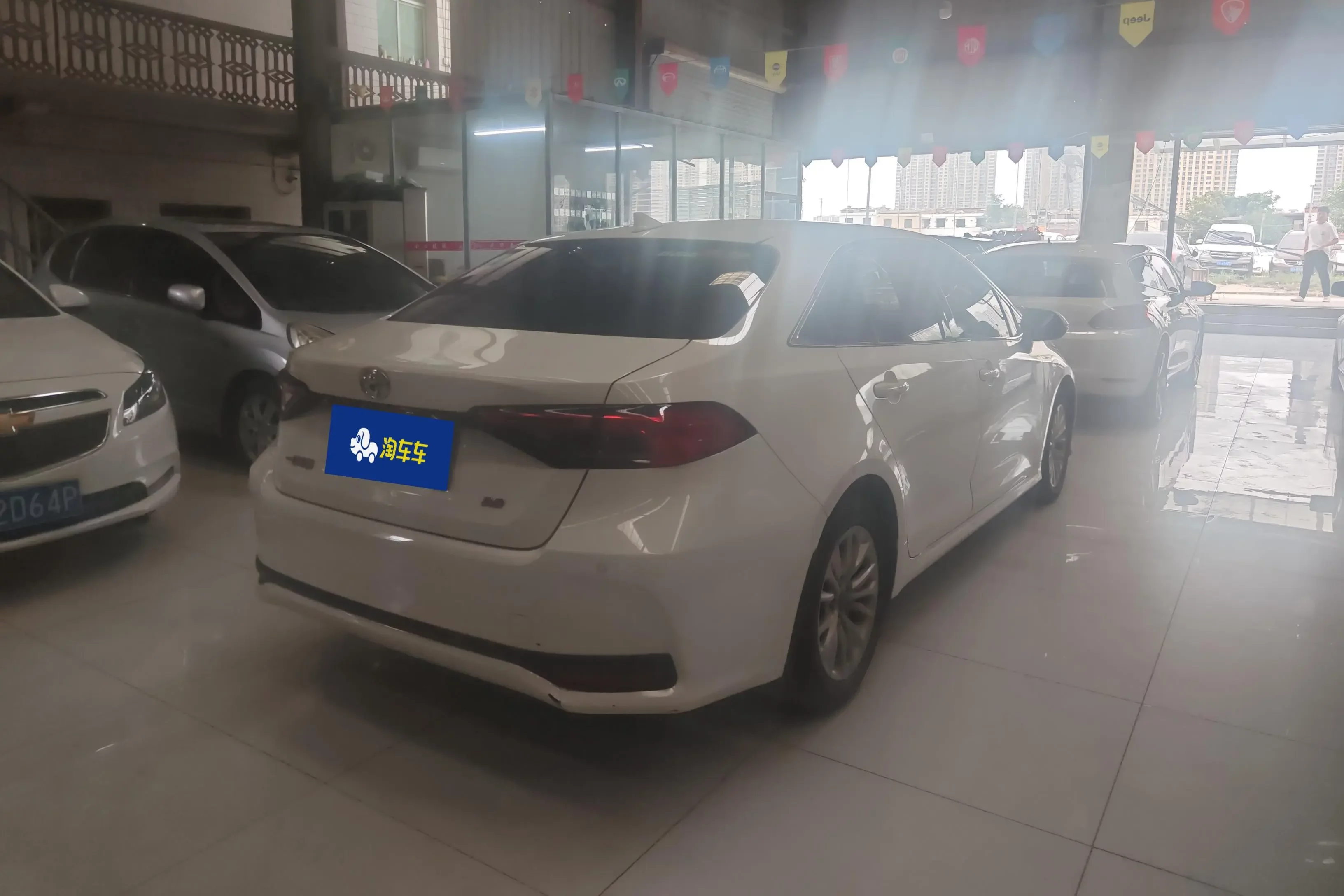 Toyota Asiatic lion