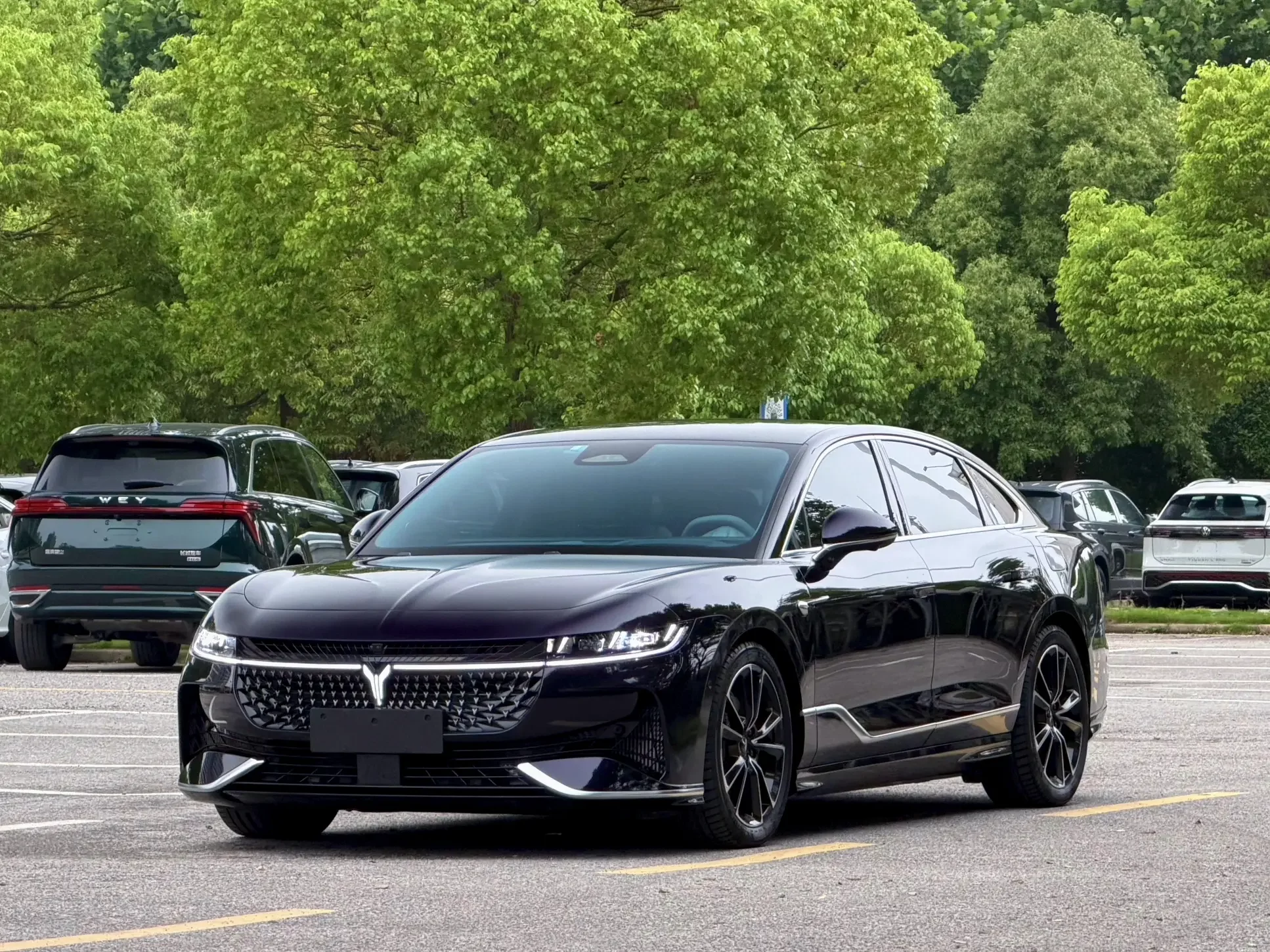 Voyah Passion PHEV