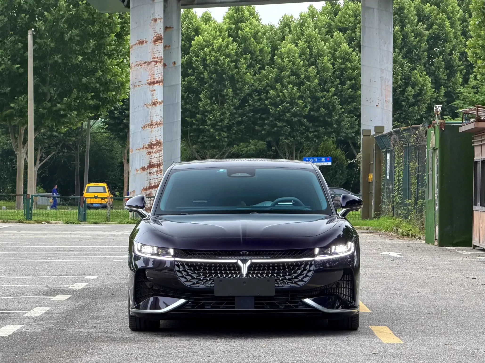 Voyah Passion PHEV