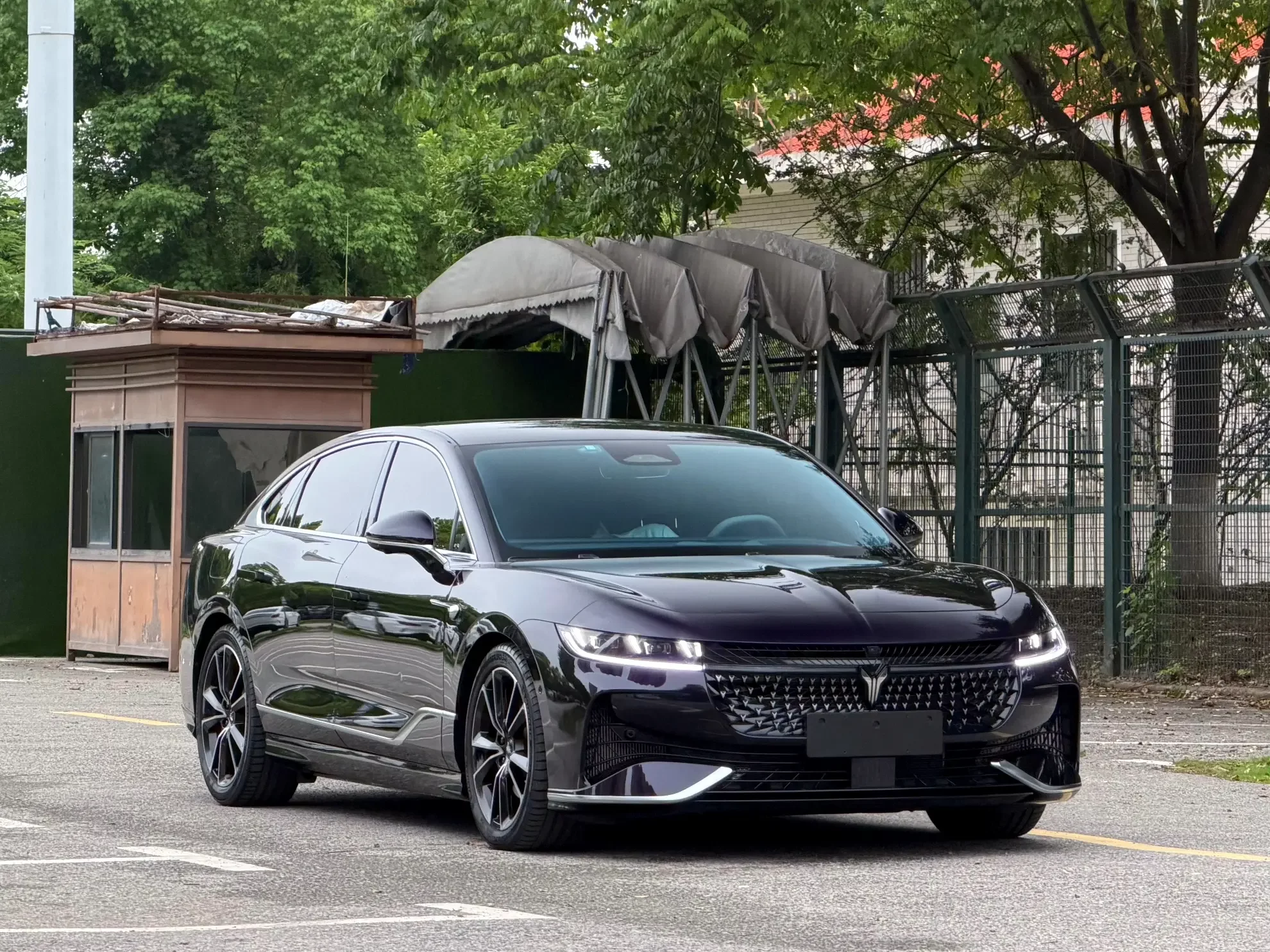 Voyah Passion PHEV