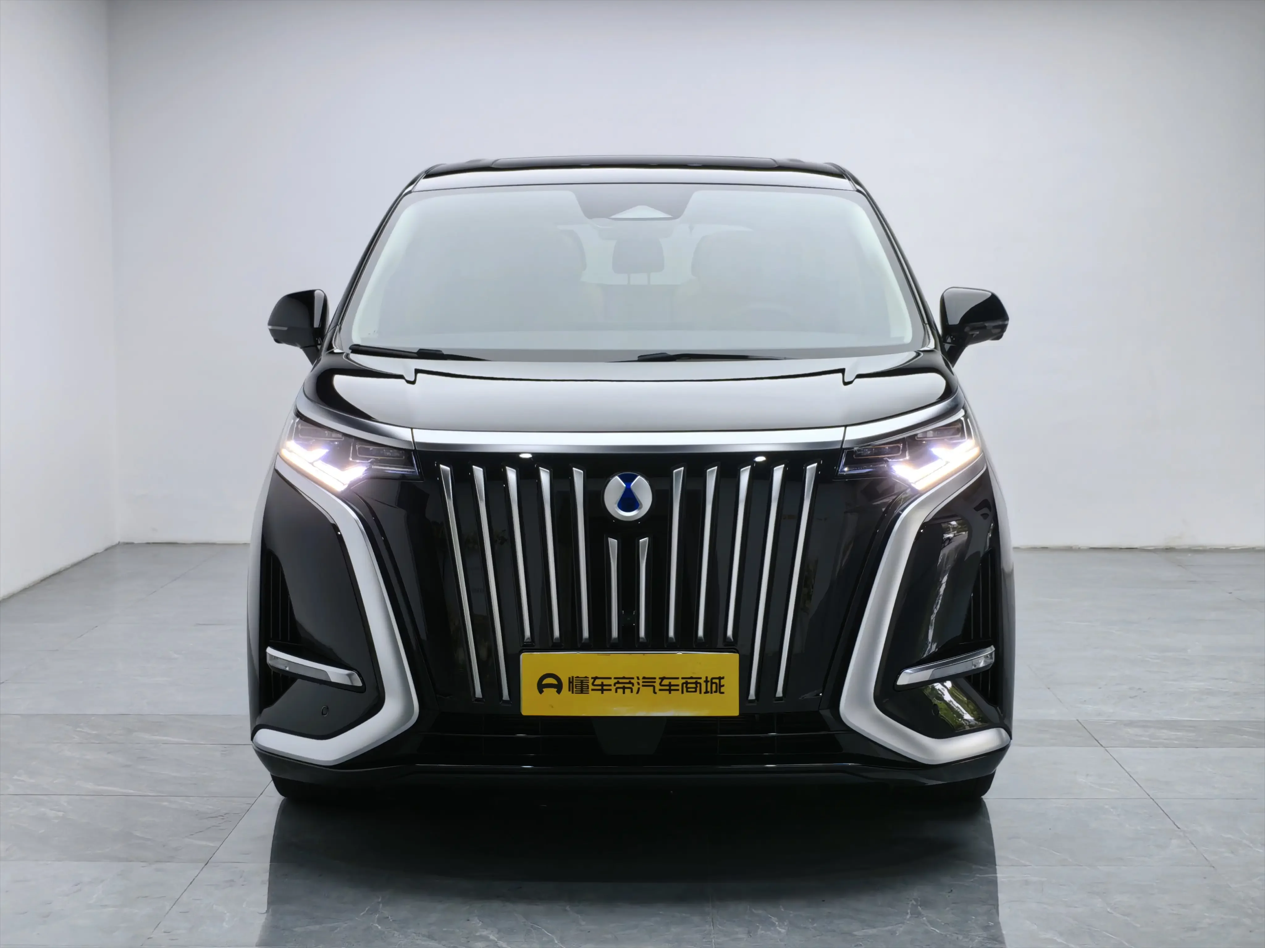 Denza D9 EV