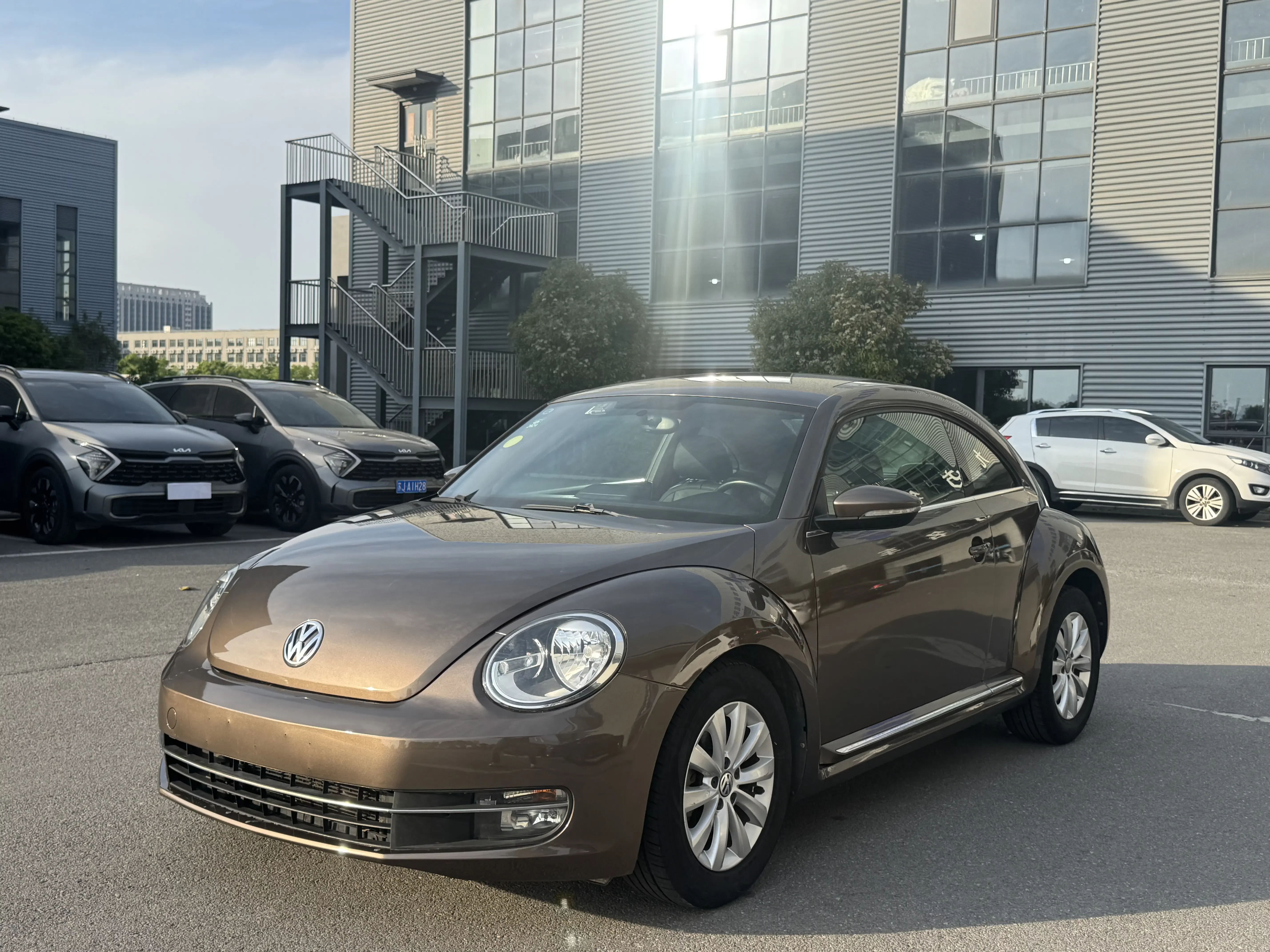 Volkswagen Beetle