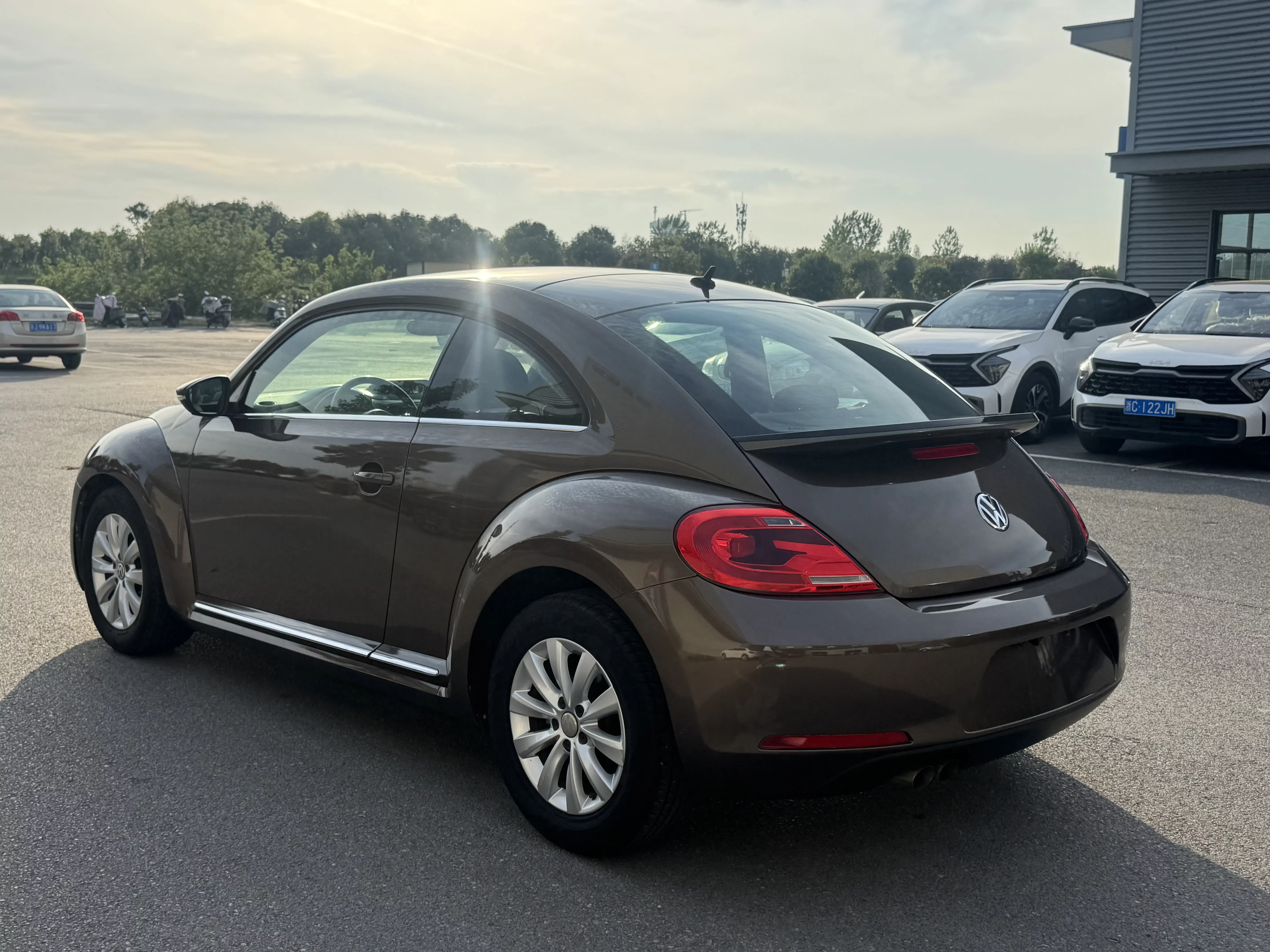 Volkswagen Beetle