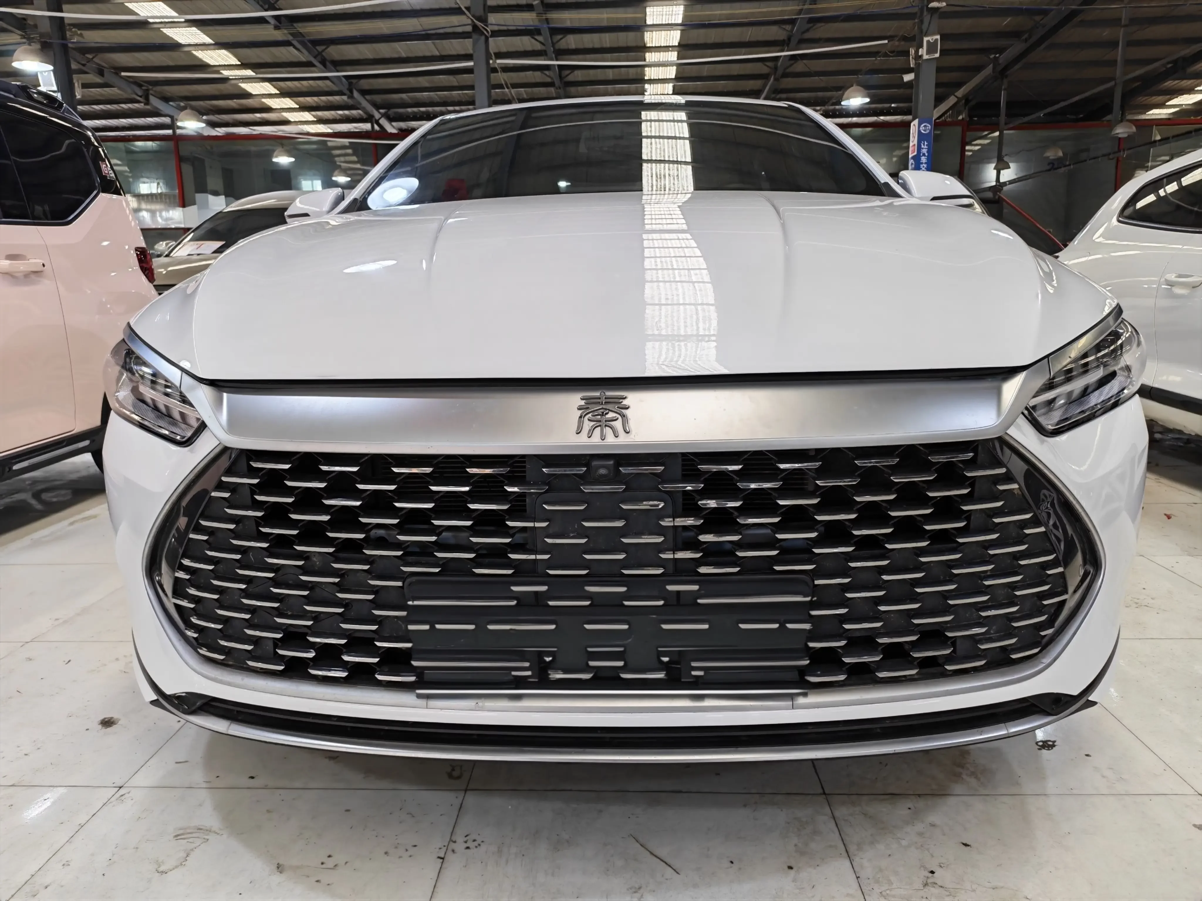 BYD Qin PLUS DM