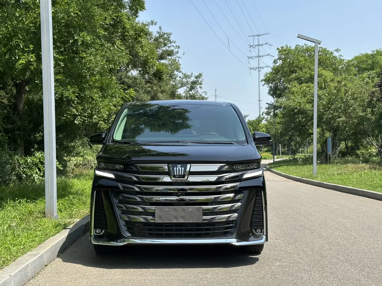 Toyota Crown Wellfire
