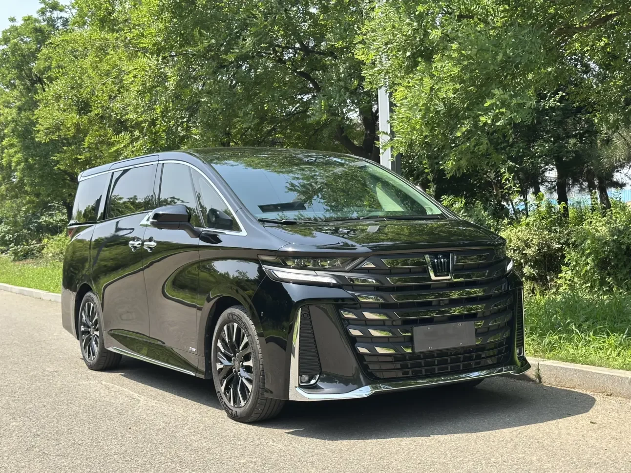 Toyota Crown Wellfire