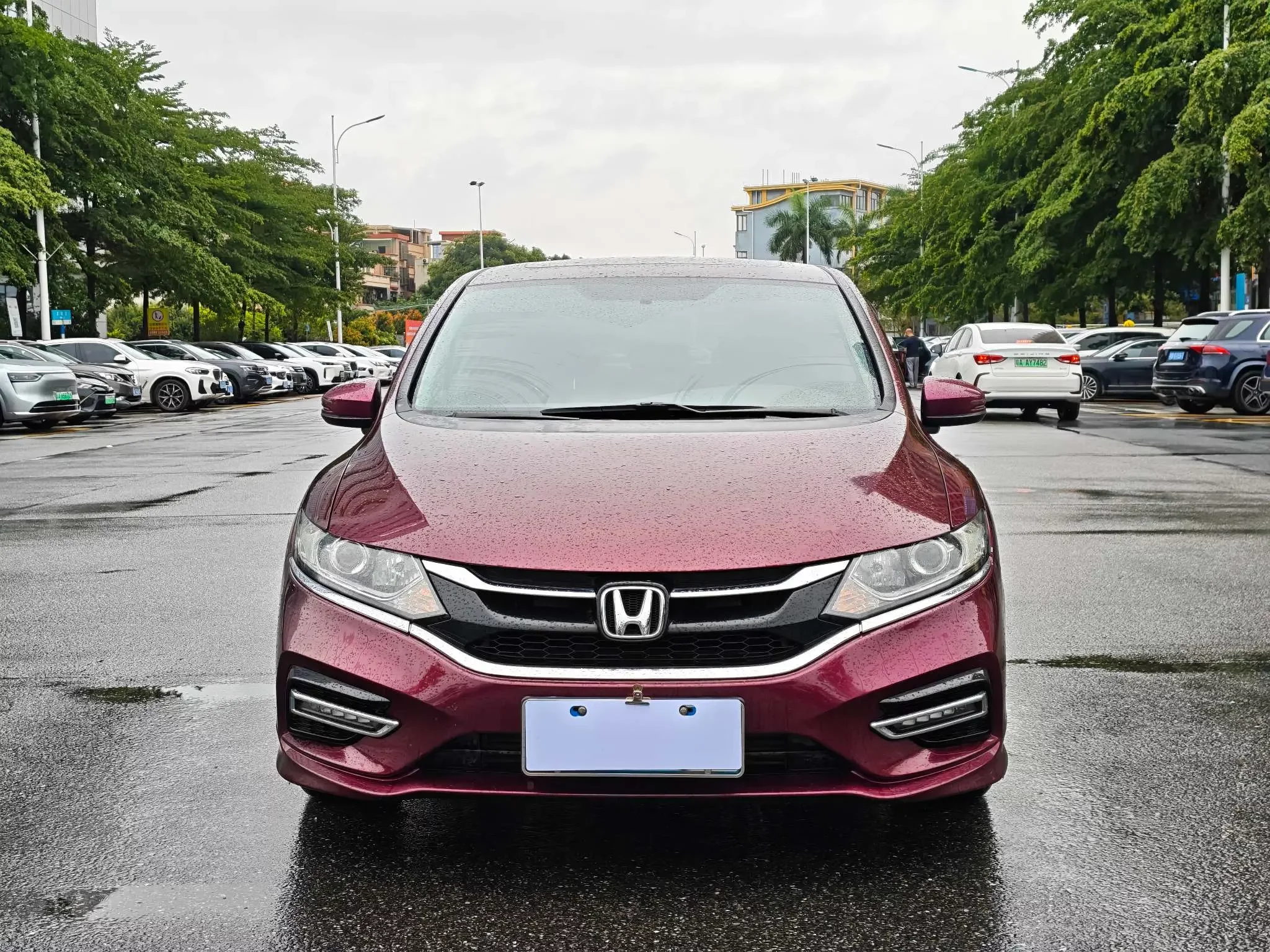 Honda Jed