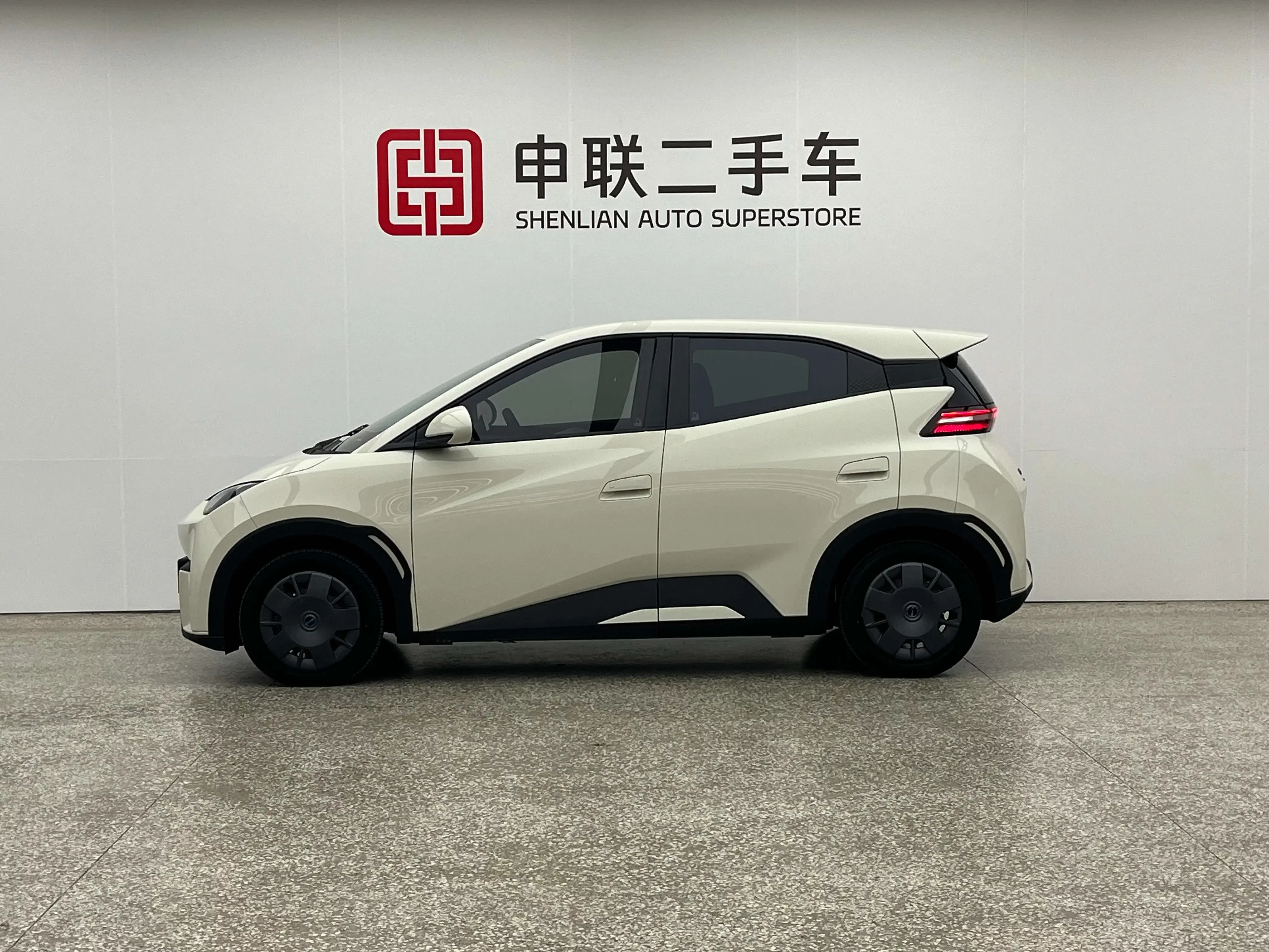 BYD seagull