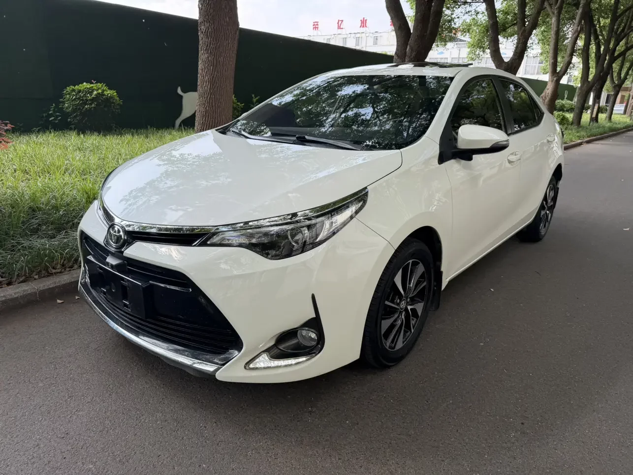 Toyota Levin