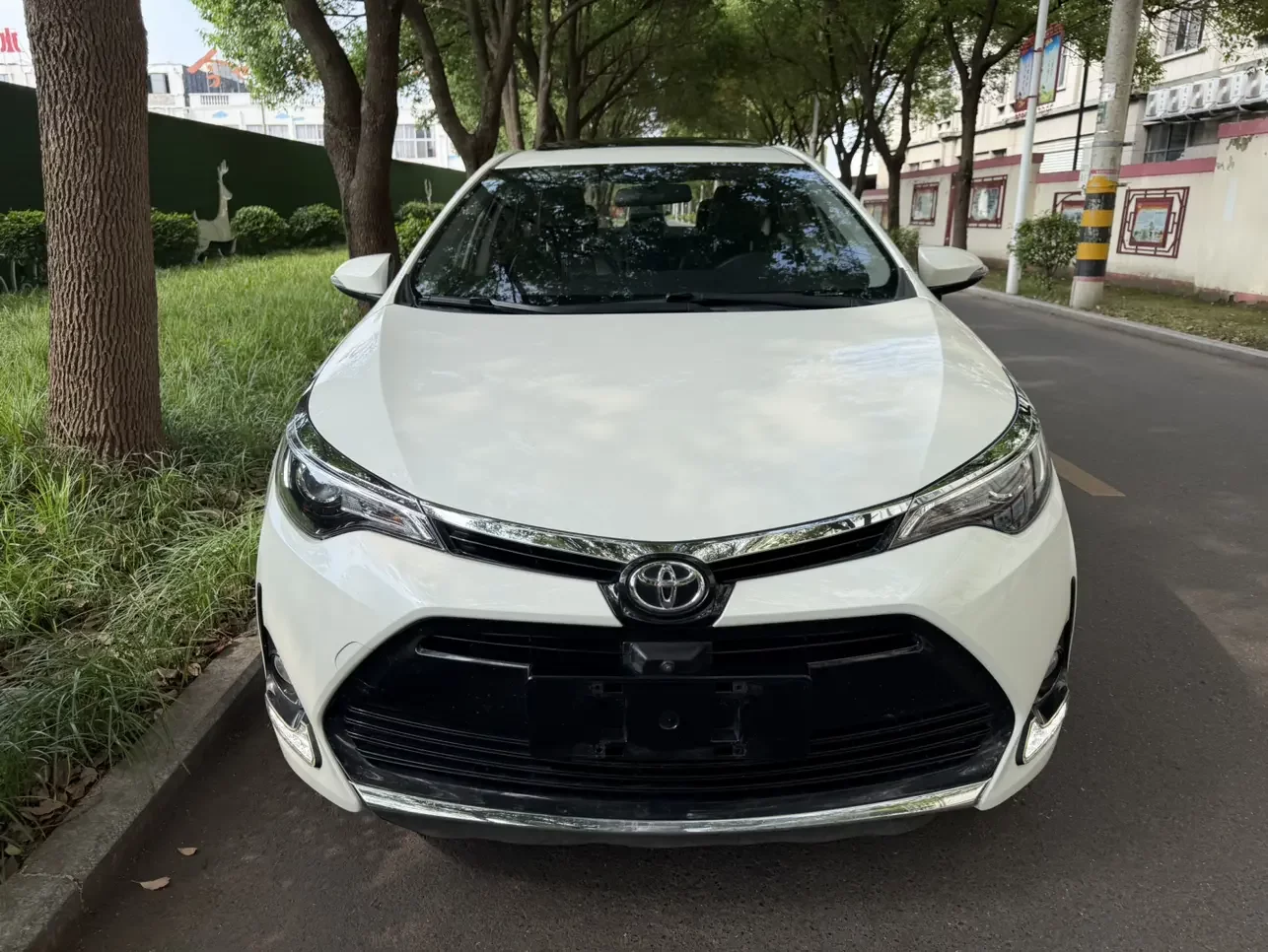 Toyota Levin