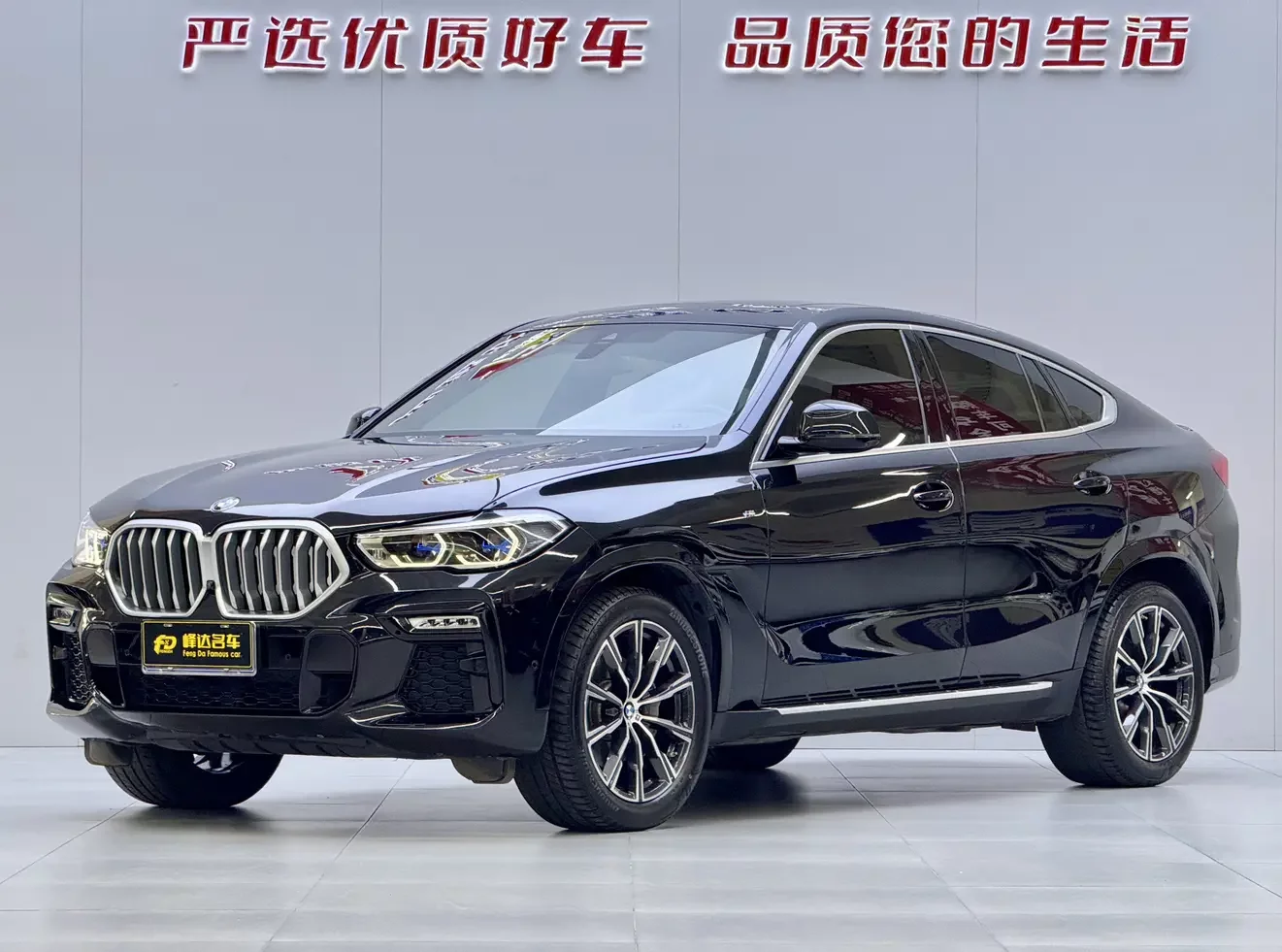 BMW X6