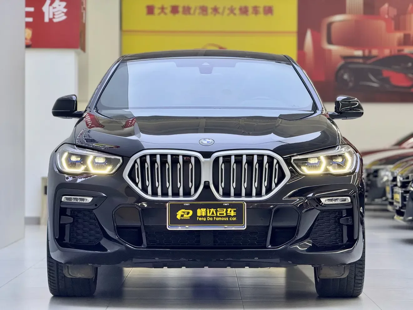 BMW X6
