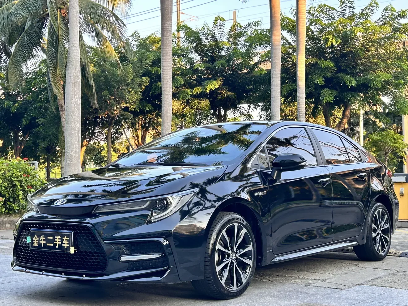 Toyota Levin