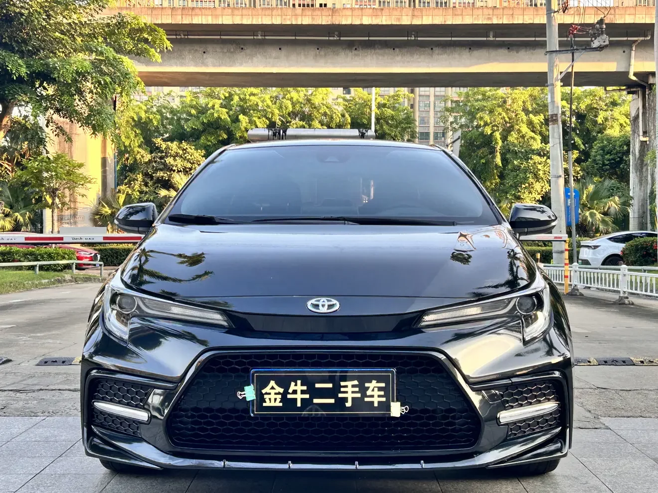 Toyota Levin