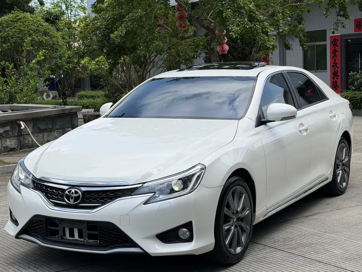 Toyota Ruizhi