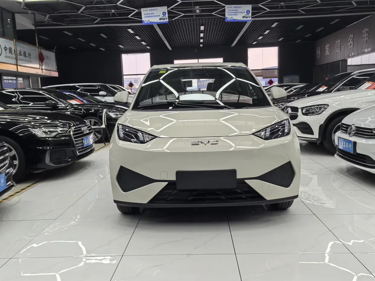 BYD seagull