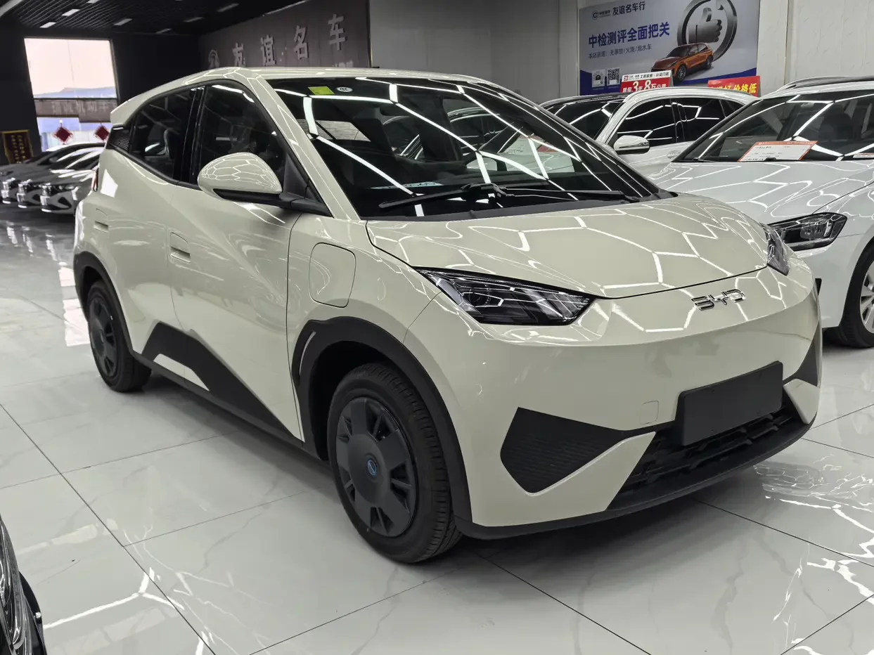 BYD seagull