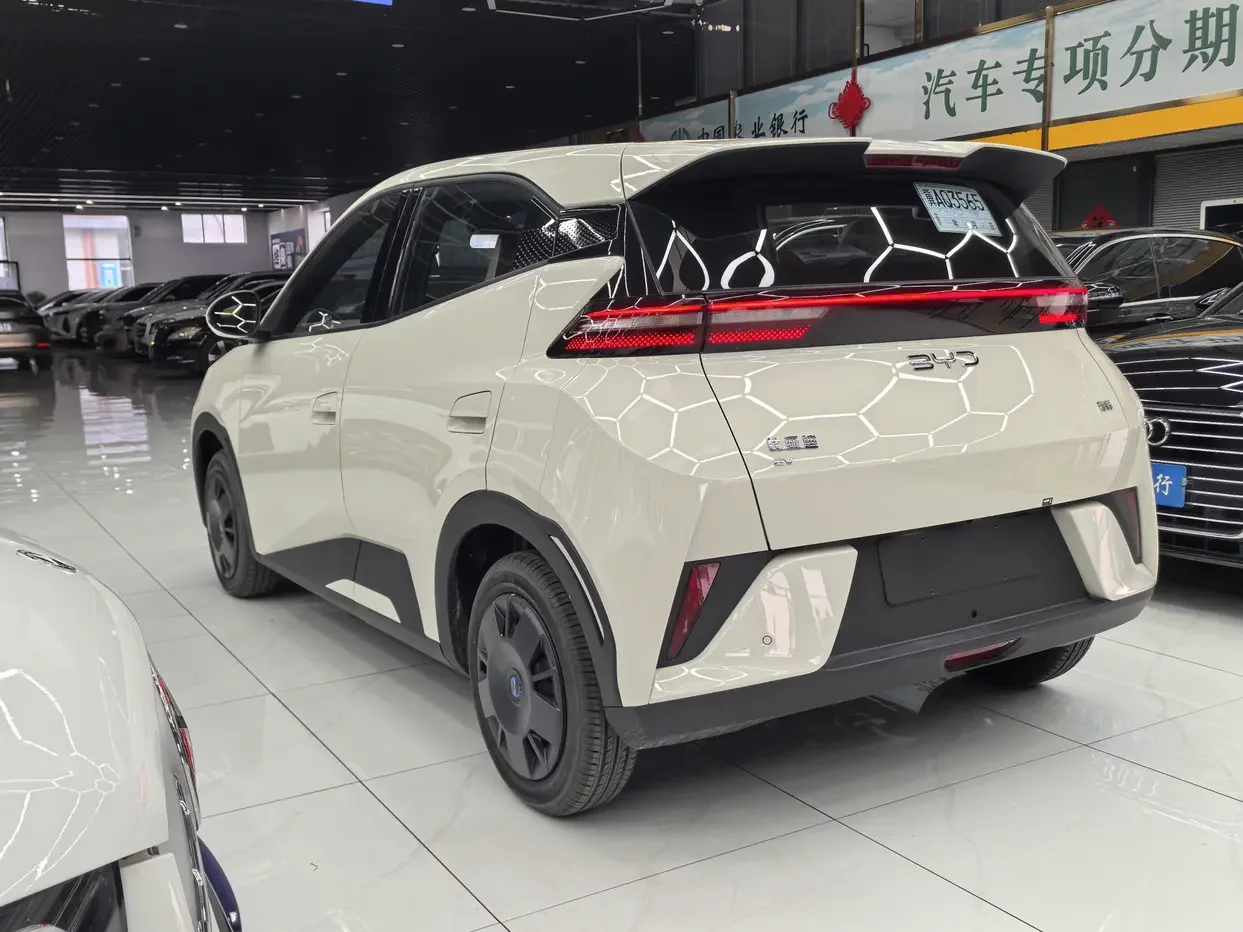 BYD seagull