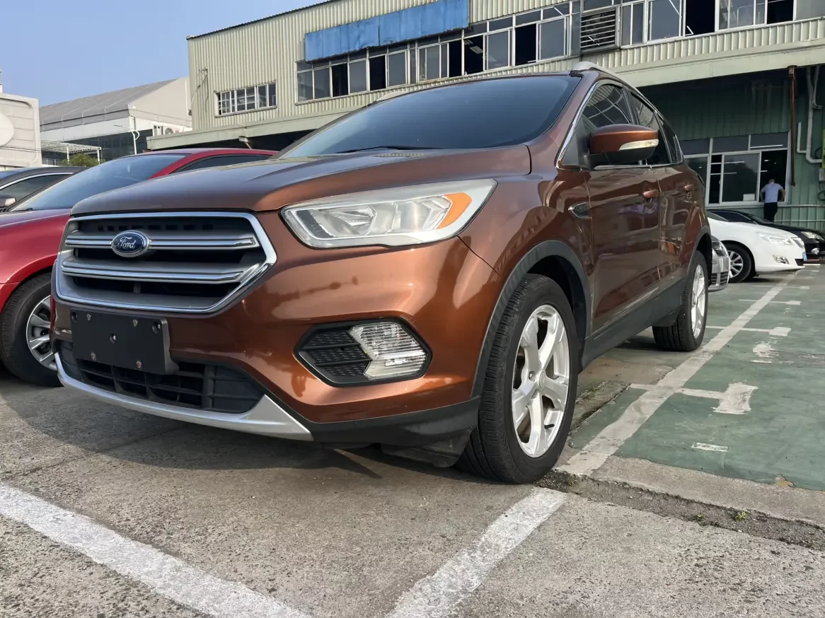 Ford wing tiger