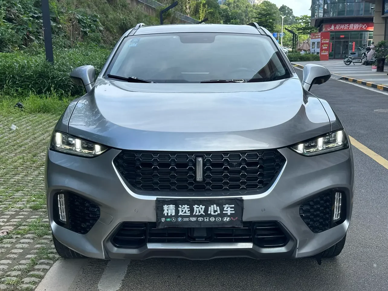 Wey Wei brand VV7