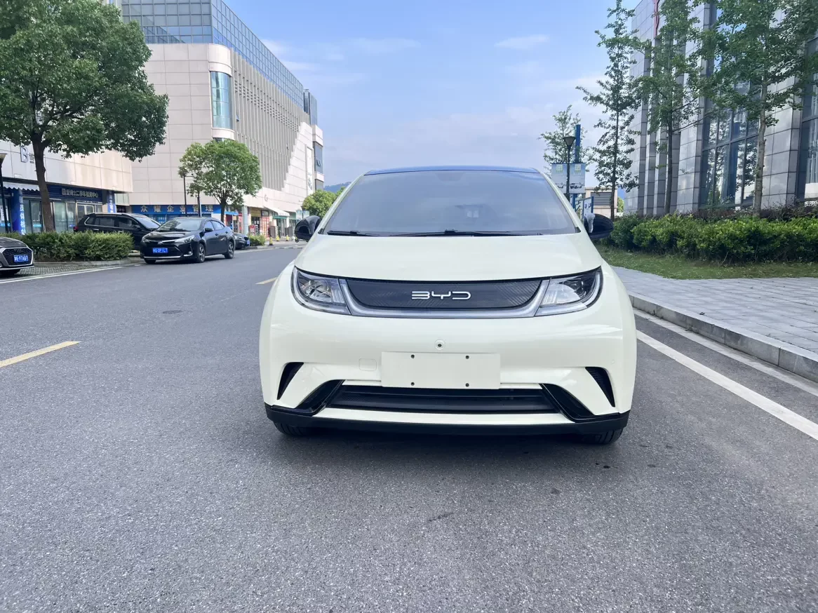 BYD dolphin