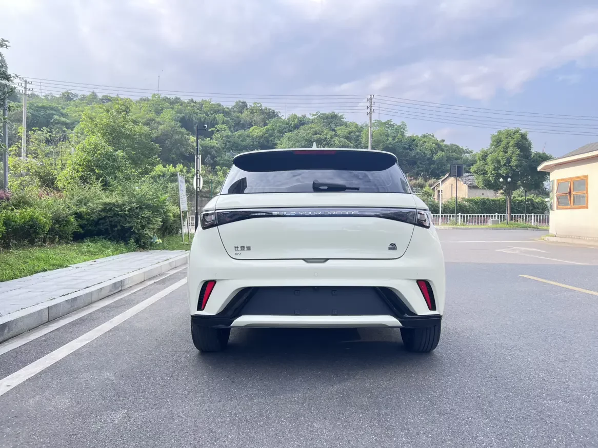 BYD dolphin