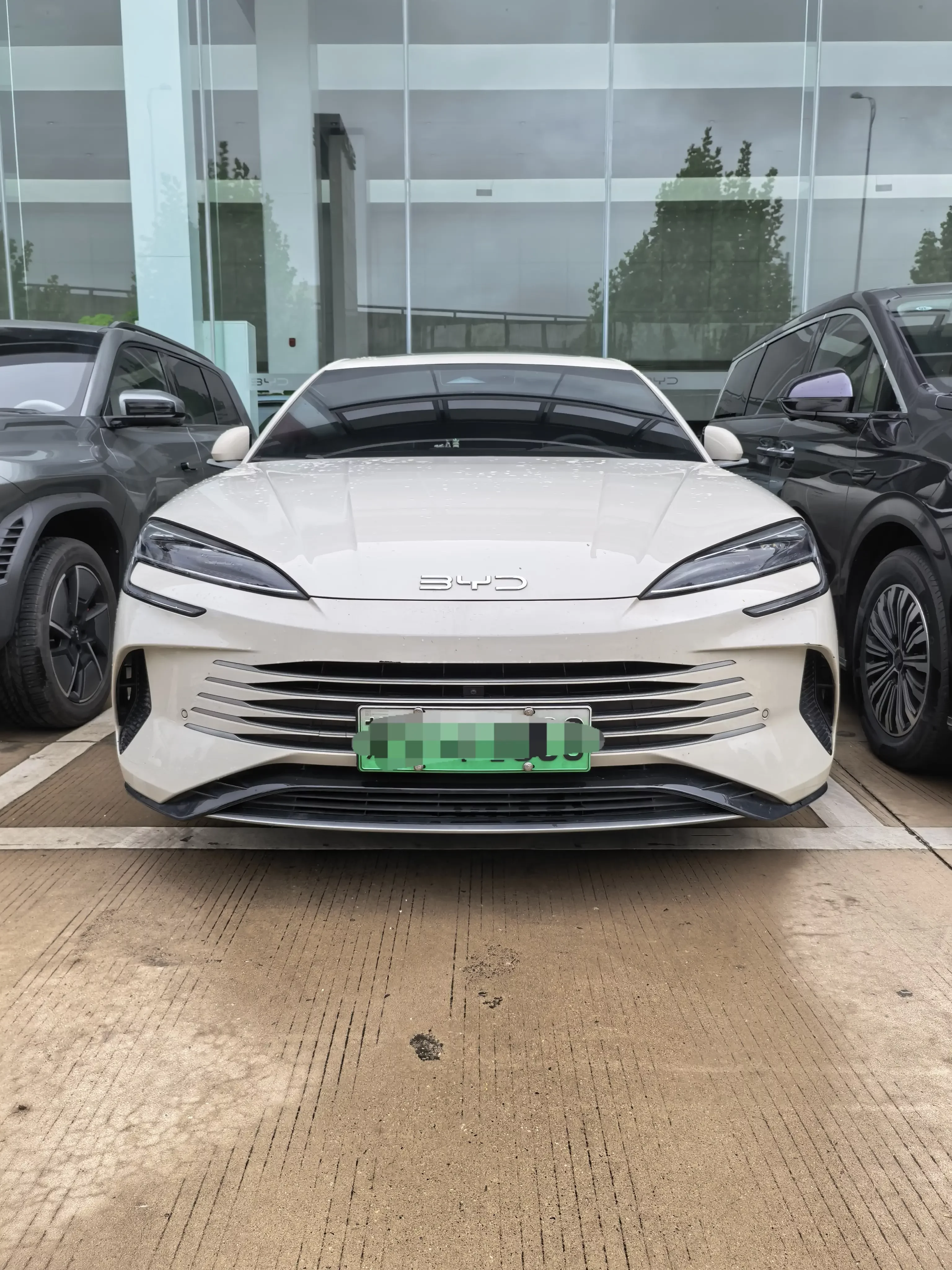 BYD Seal DM
