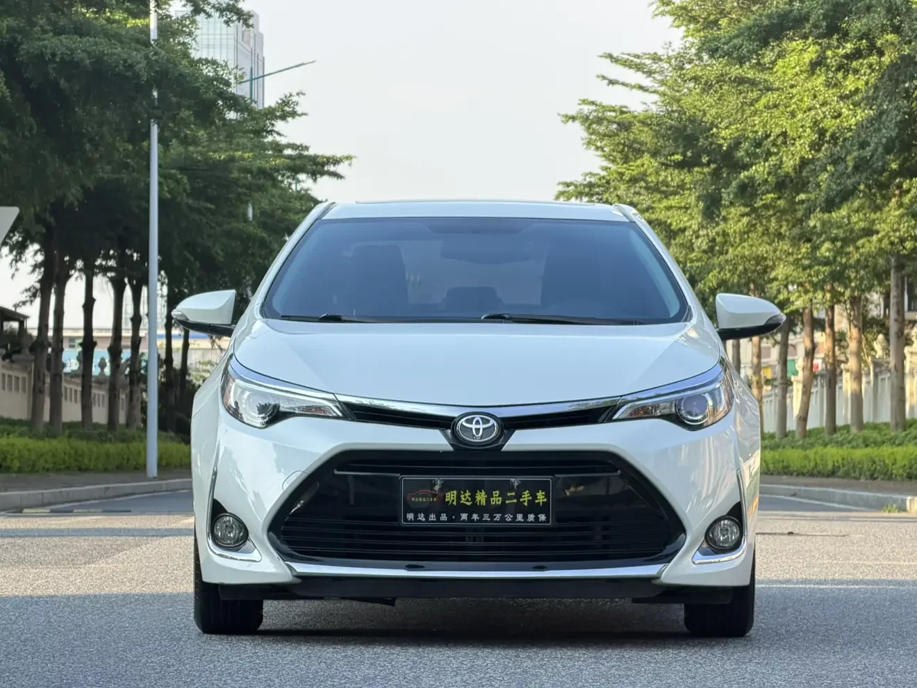 Toyota Levin
