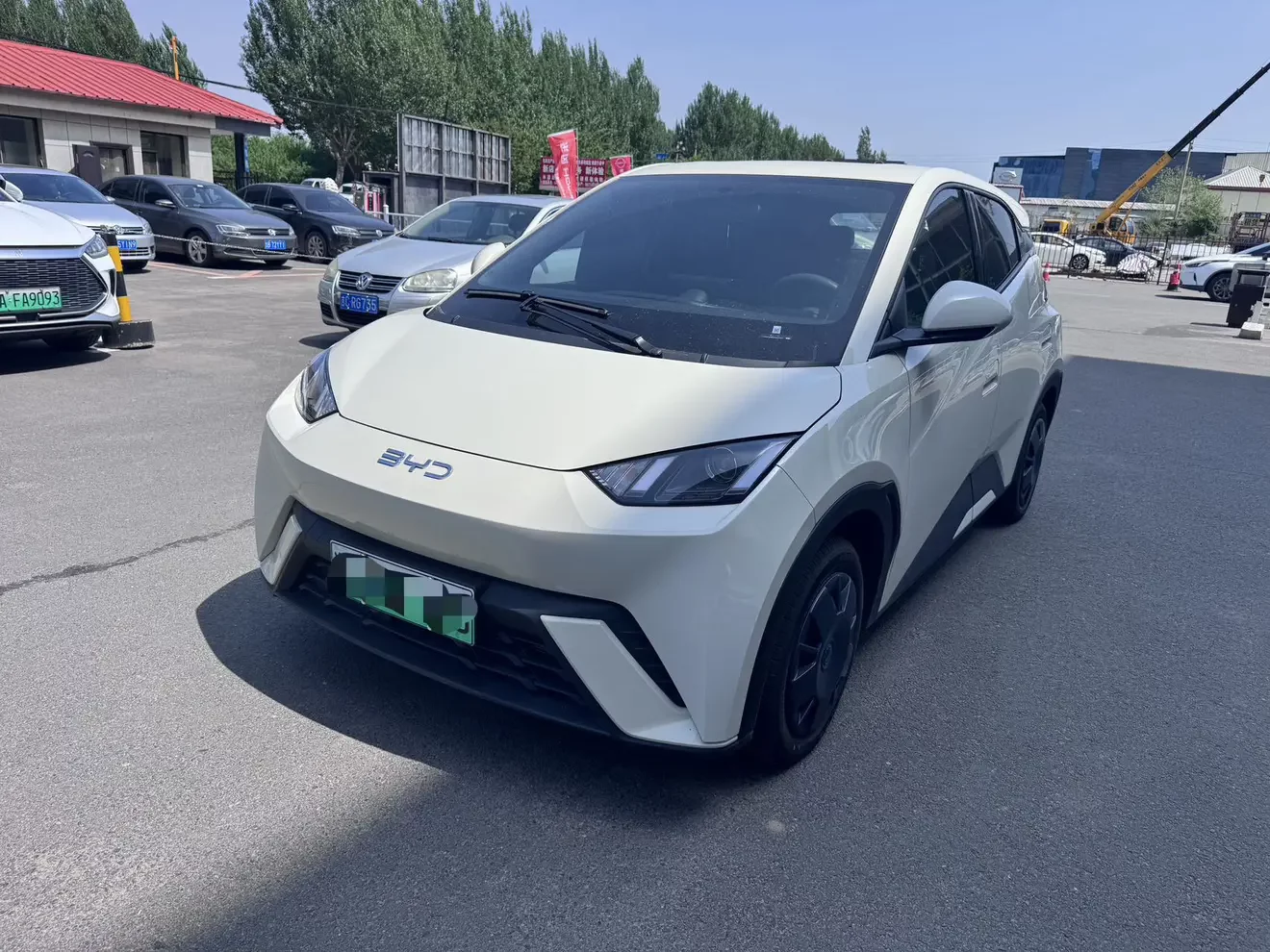 BYD seagull