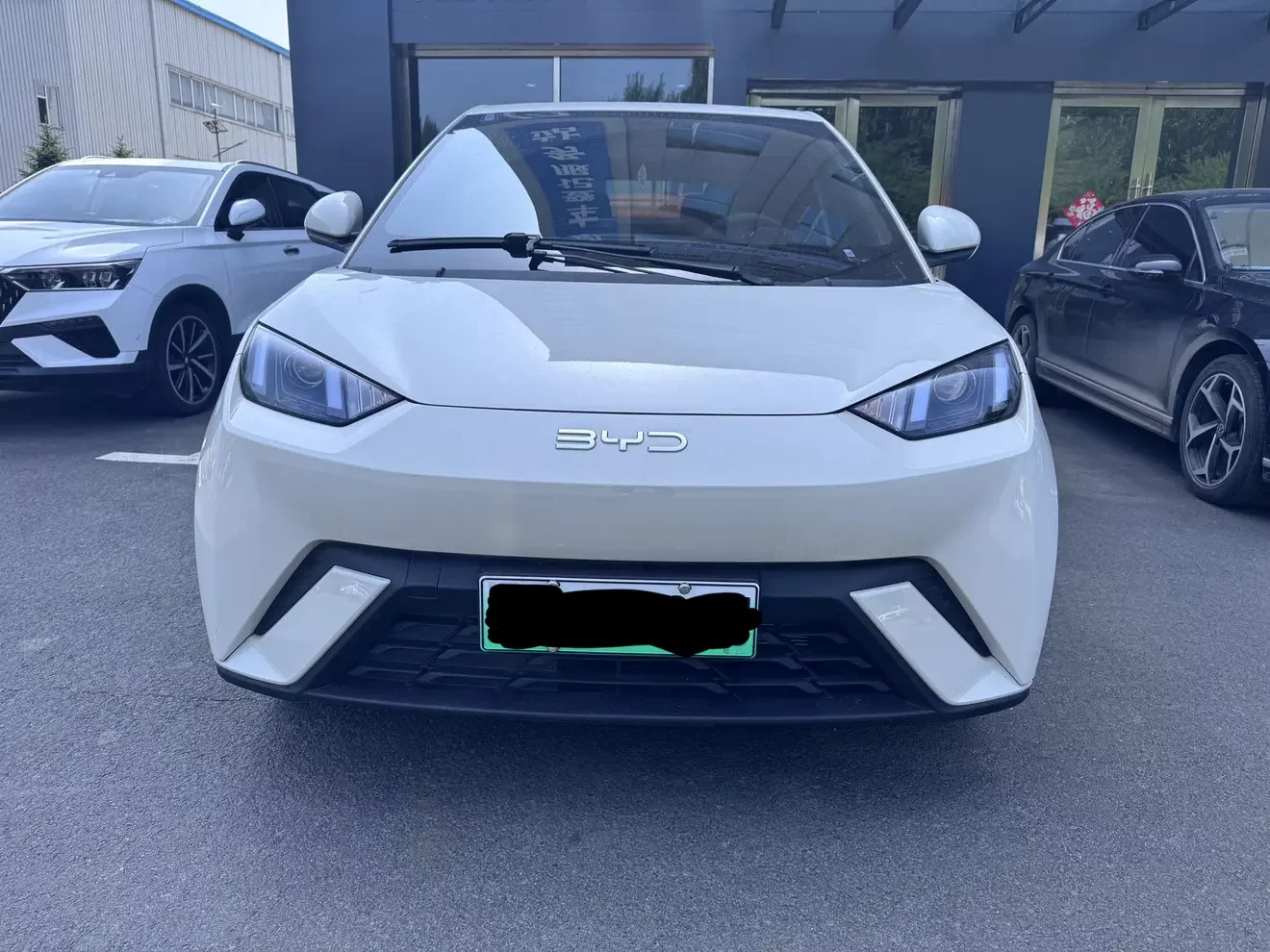 BYD seagull