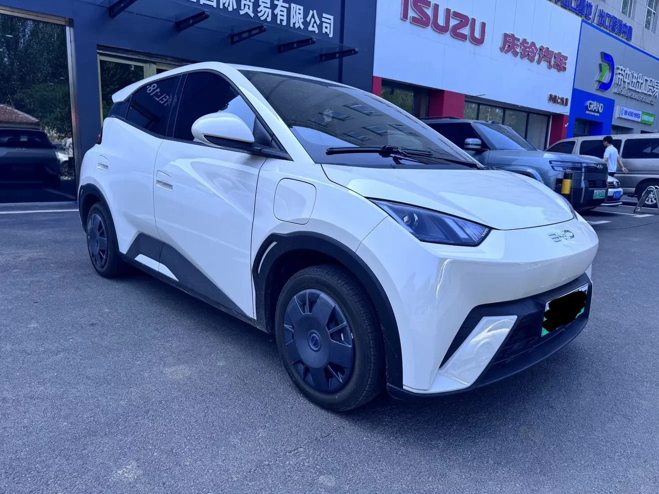 BYD seagull