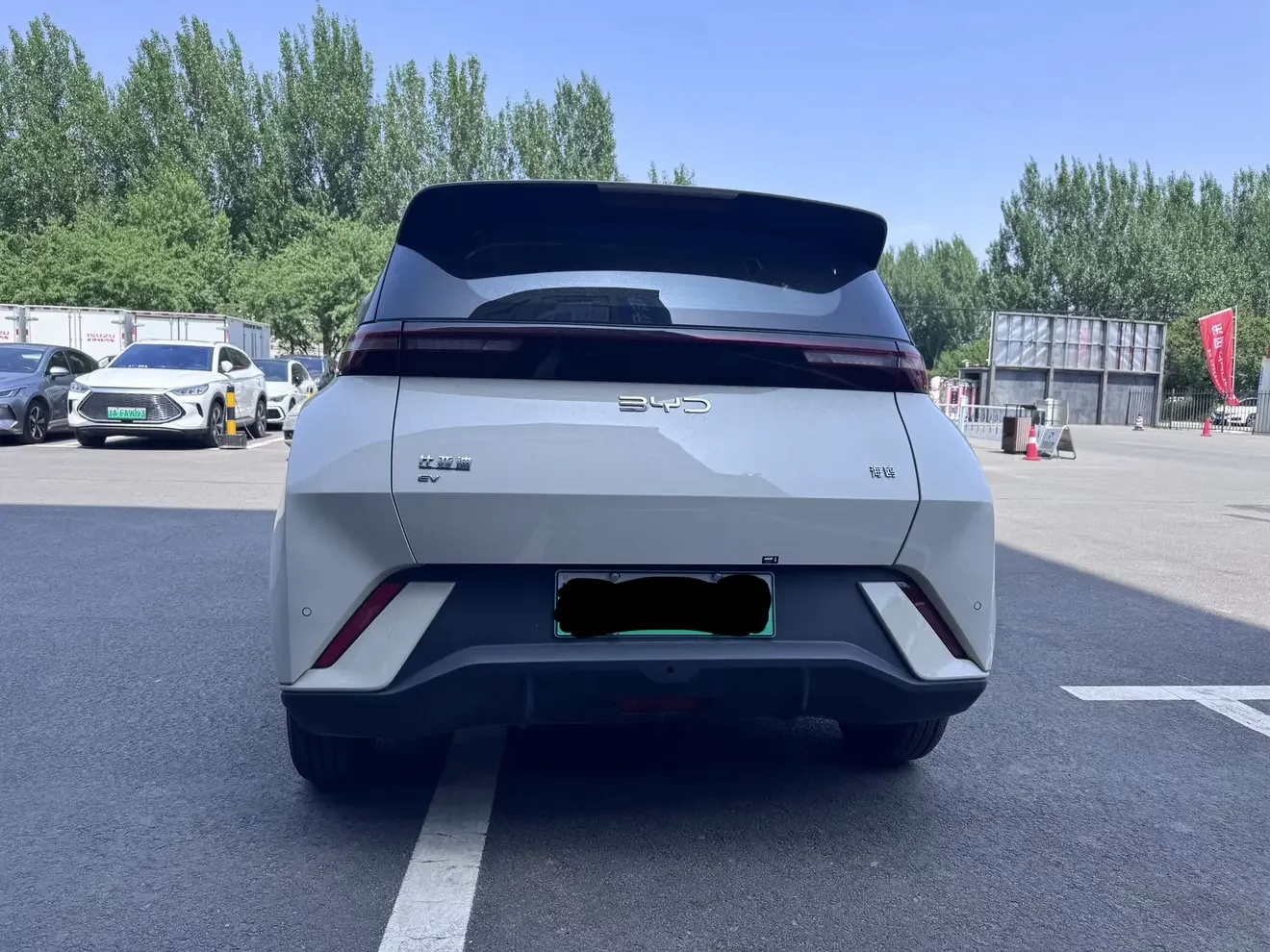 BYD seagull