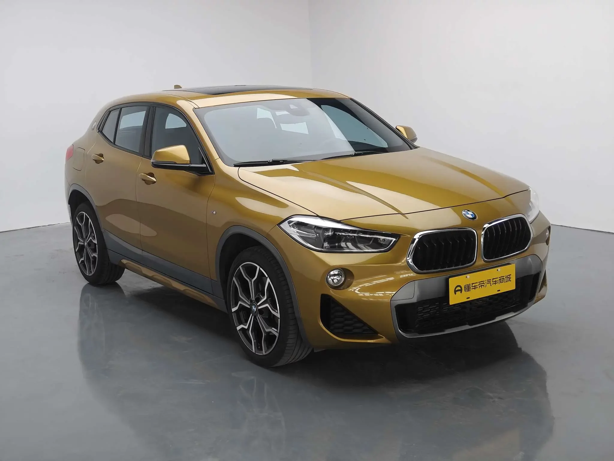 BMW X2