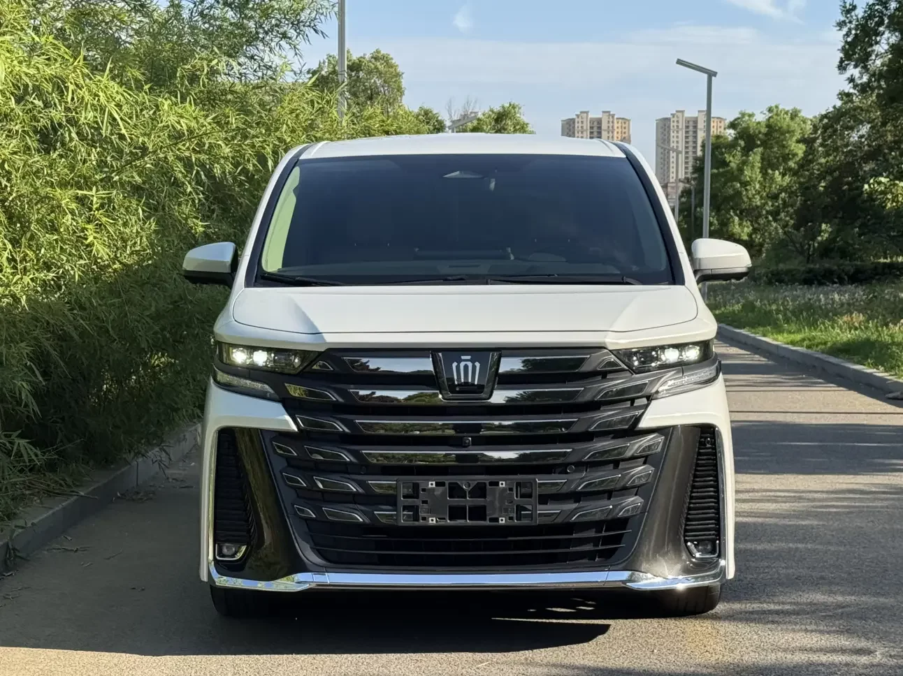 Toyota Crown Wellfire