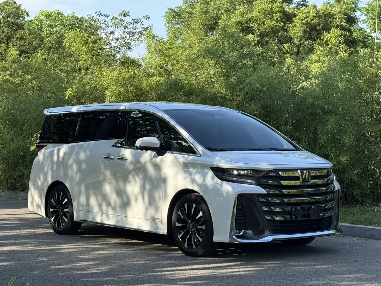Toyota Crown Wellfire