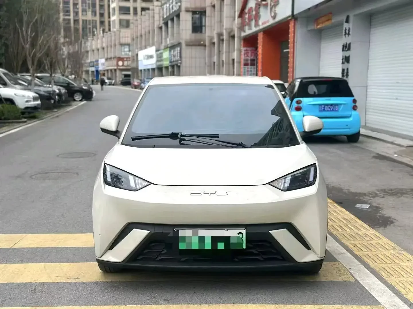 BYD seagull