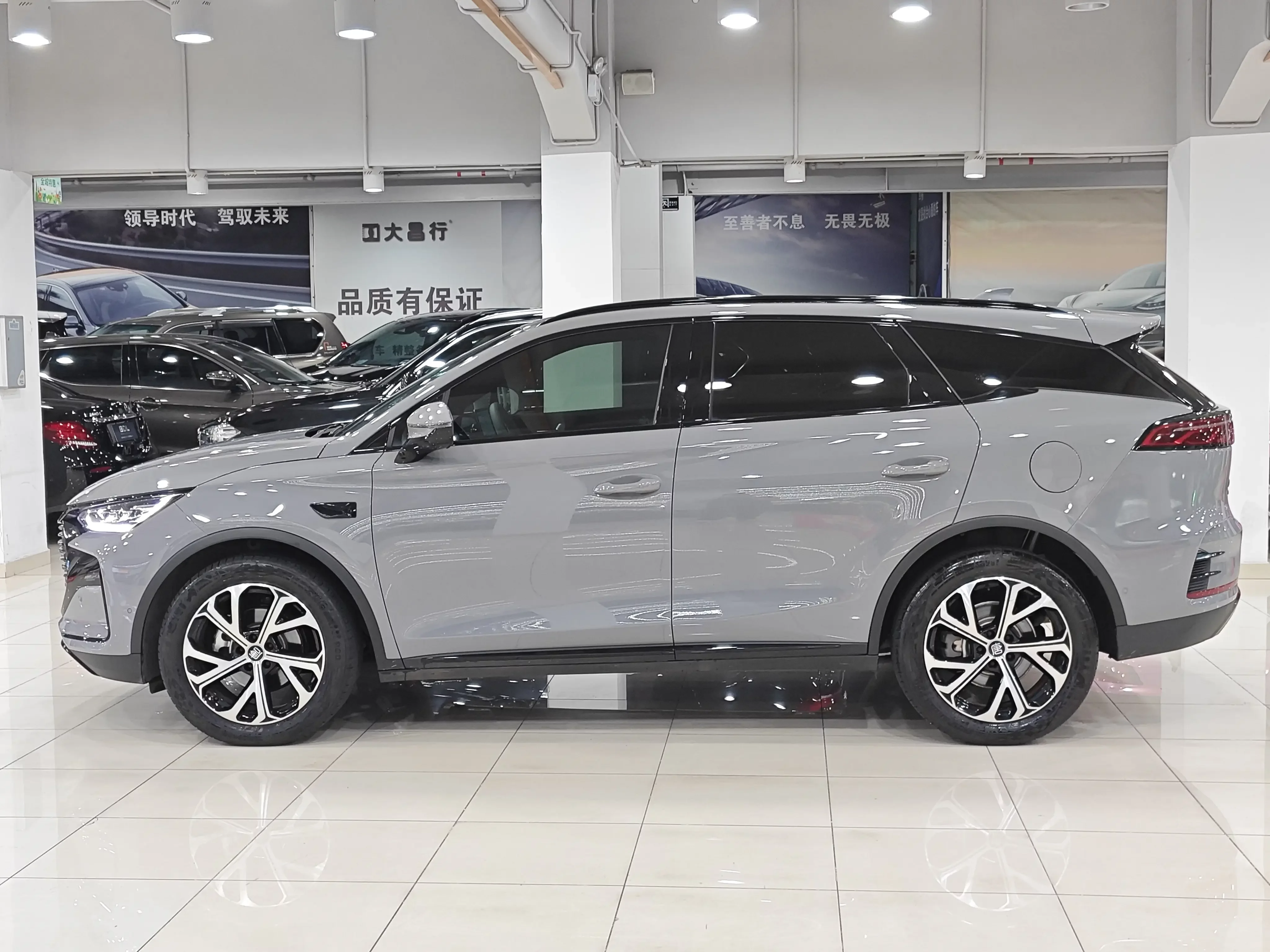 BYD Tang DM