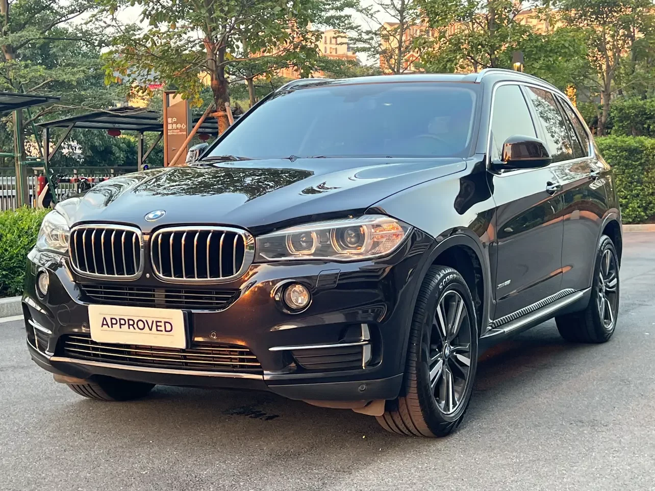 BMW X5