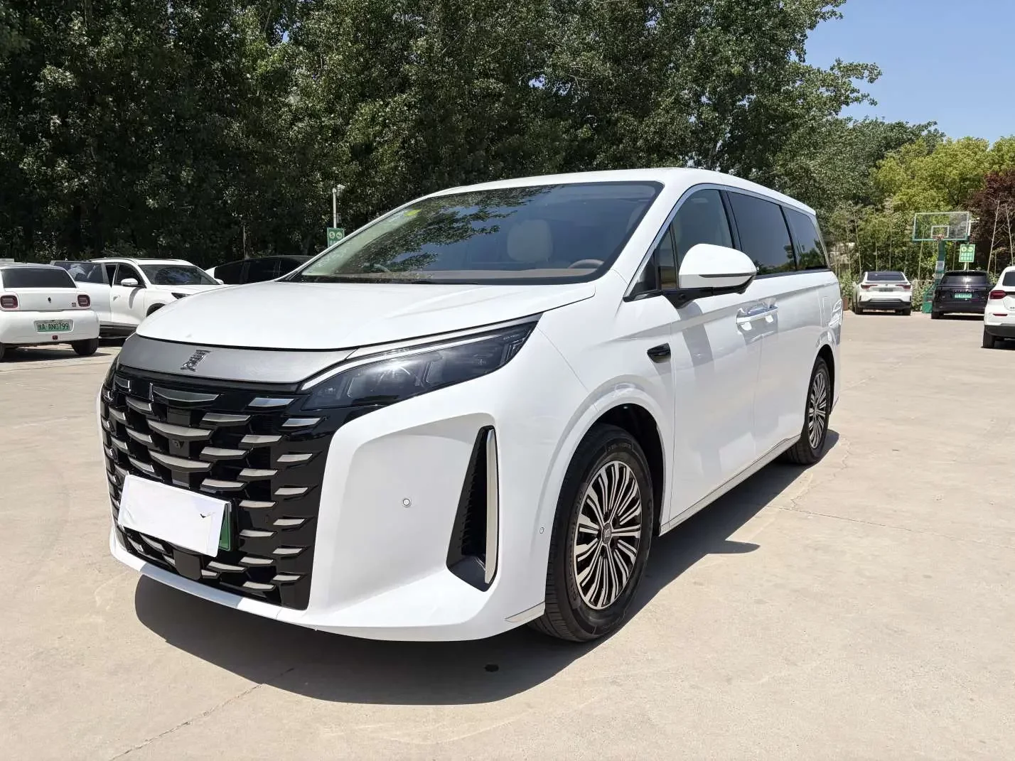 BYD summer