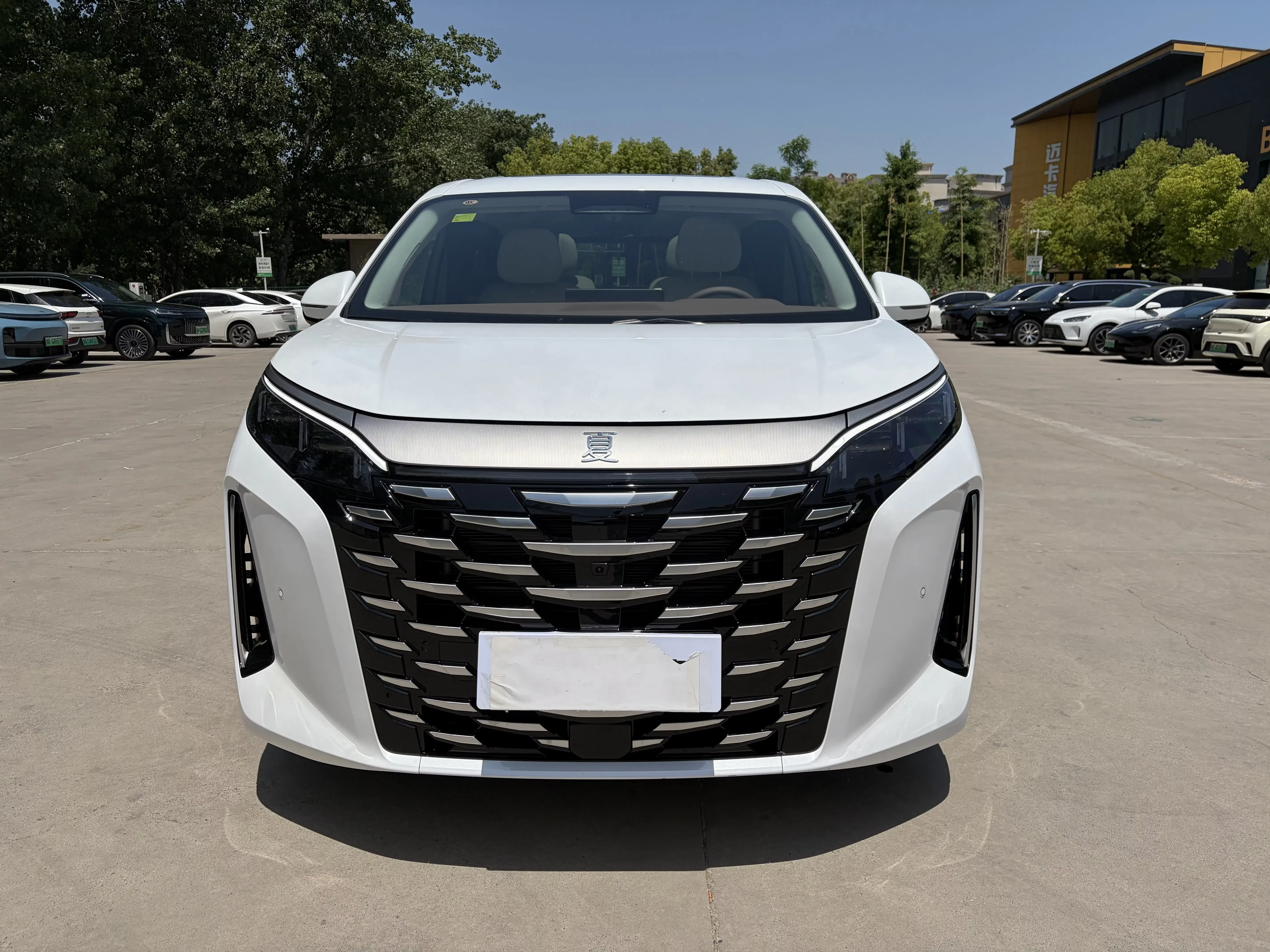BYD summer